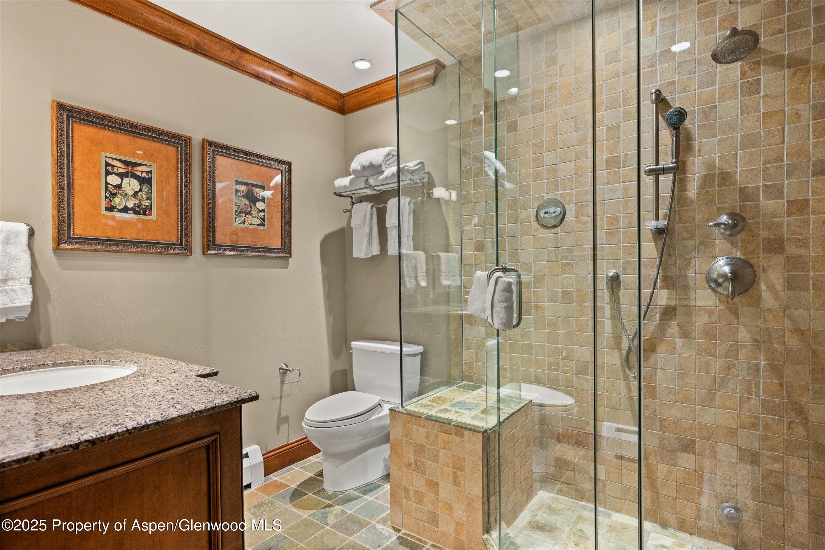 315 S First Street, Aspen, CO 81611 - Photo 23