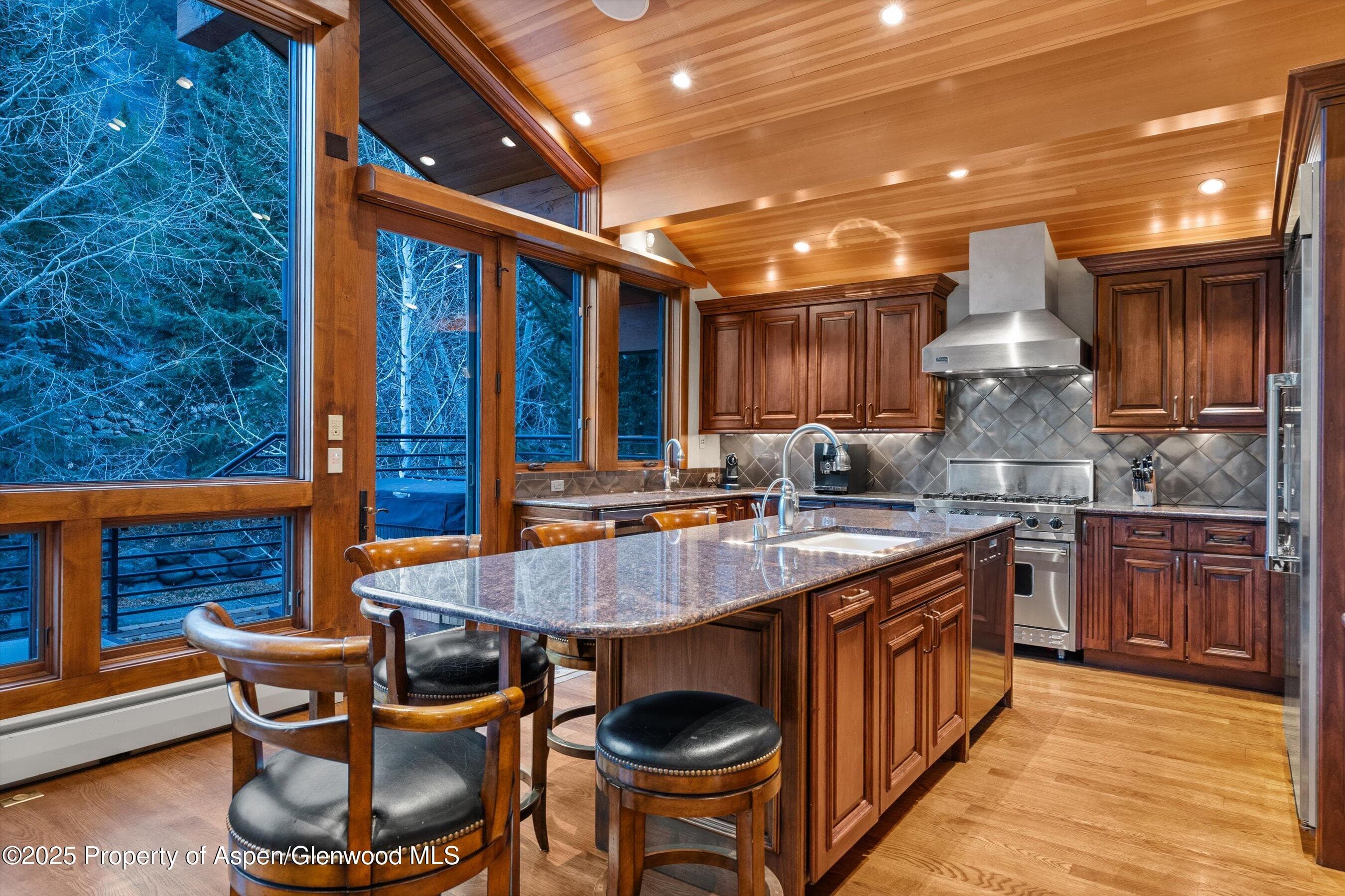 315 S First Street, Aspen, CO 81611 - Photo 8