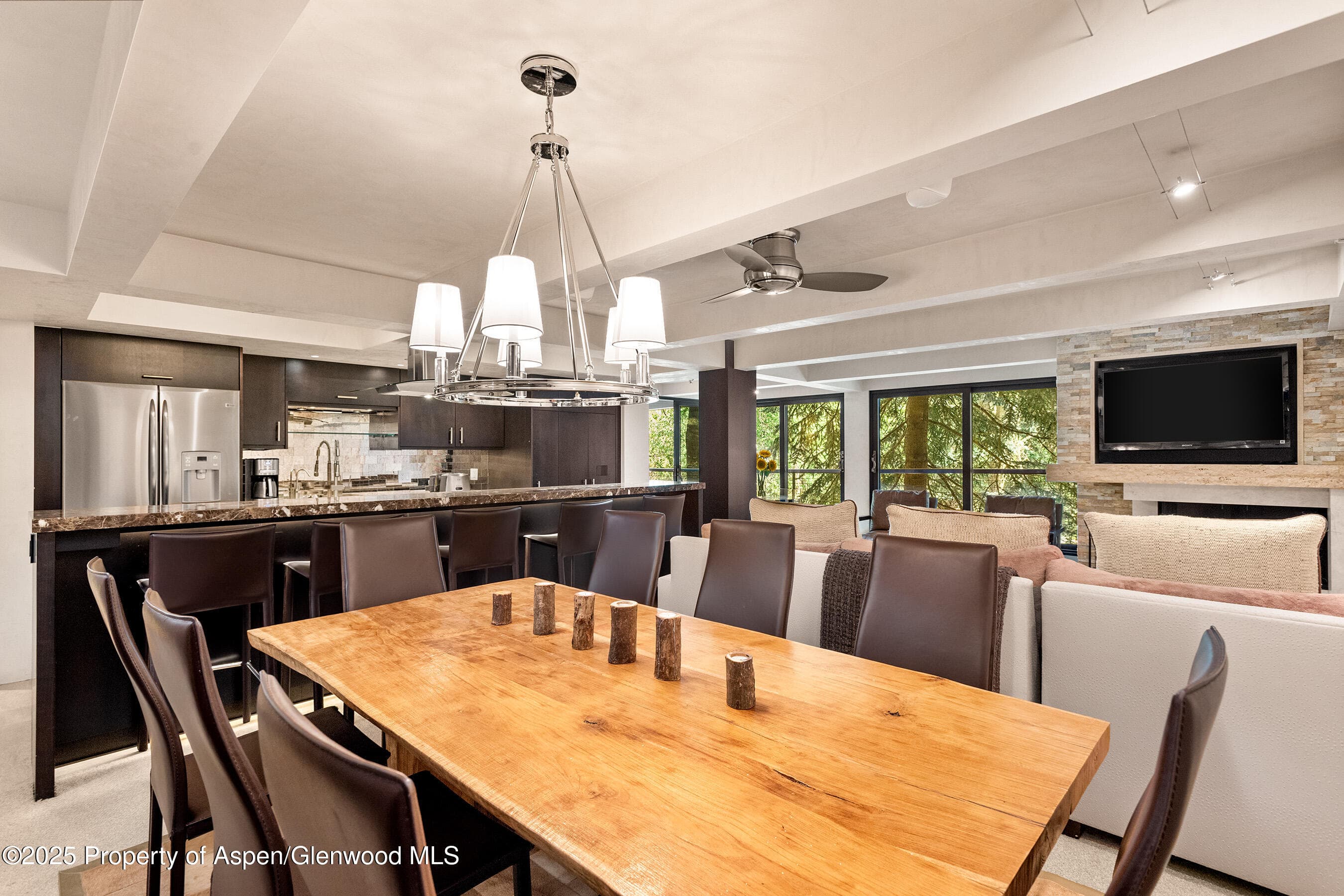 1034 E Cooper Avenue 26, Aspen, CO 81611 - Photo 8