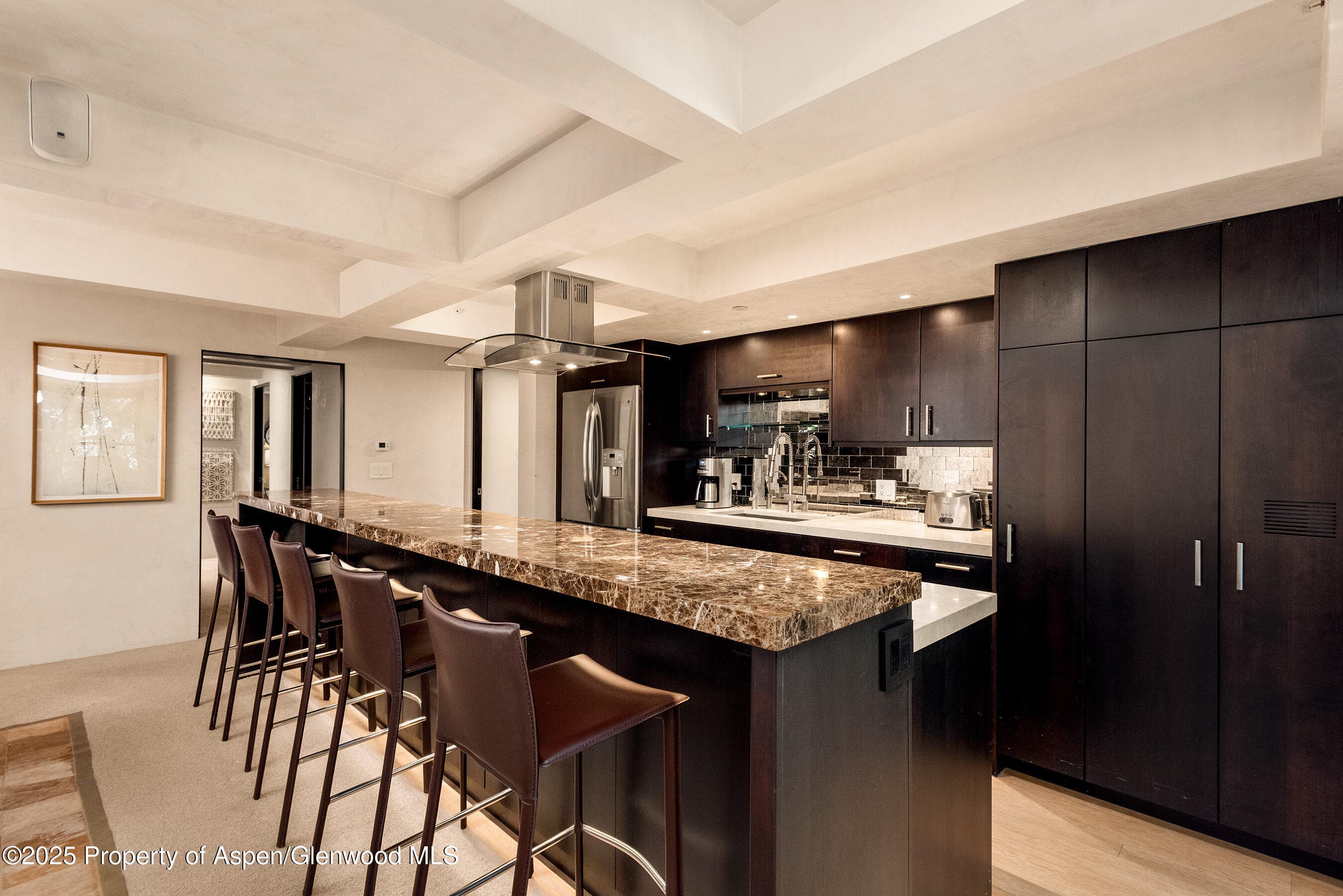 1034 E Cooper Avenue 26, Aspen, CO 81611 - Photo 10