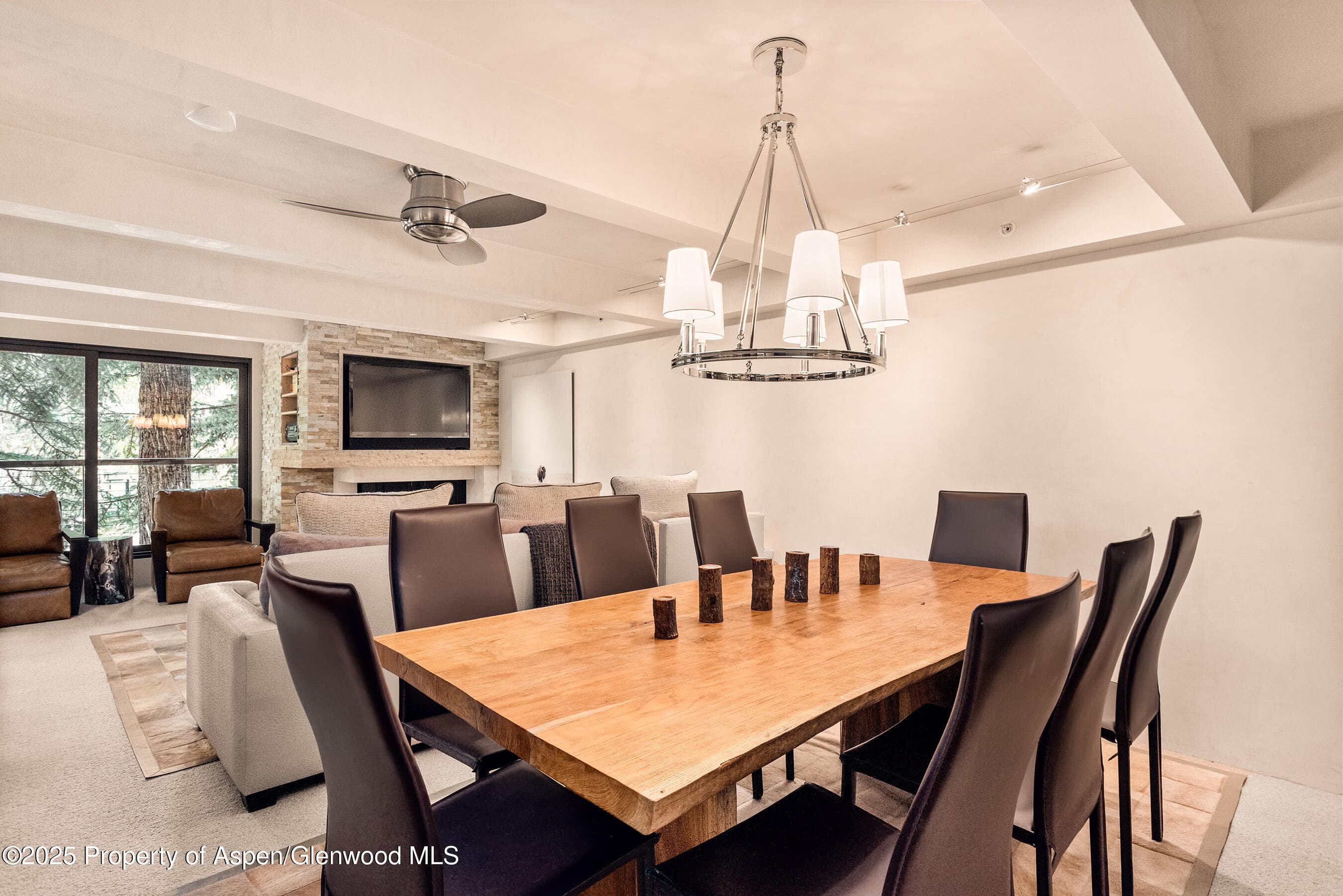 1034 E Cooper Avenue 26, Aspen, CO 81611 - Photo 7