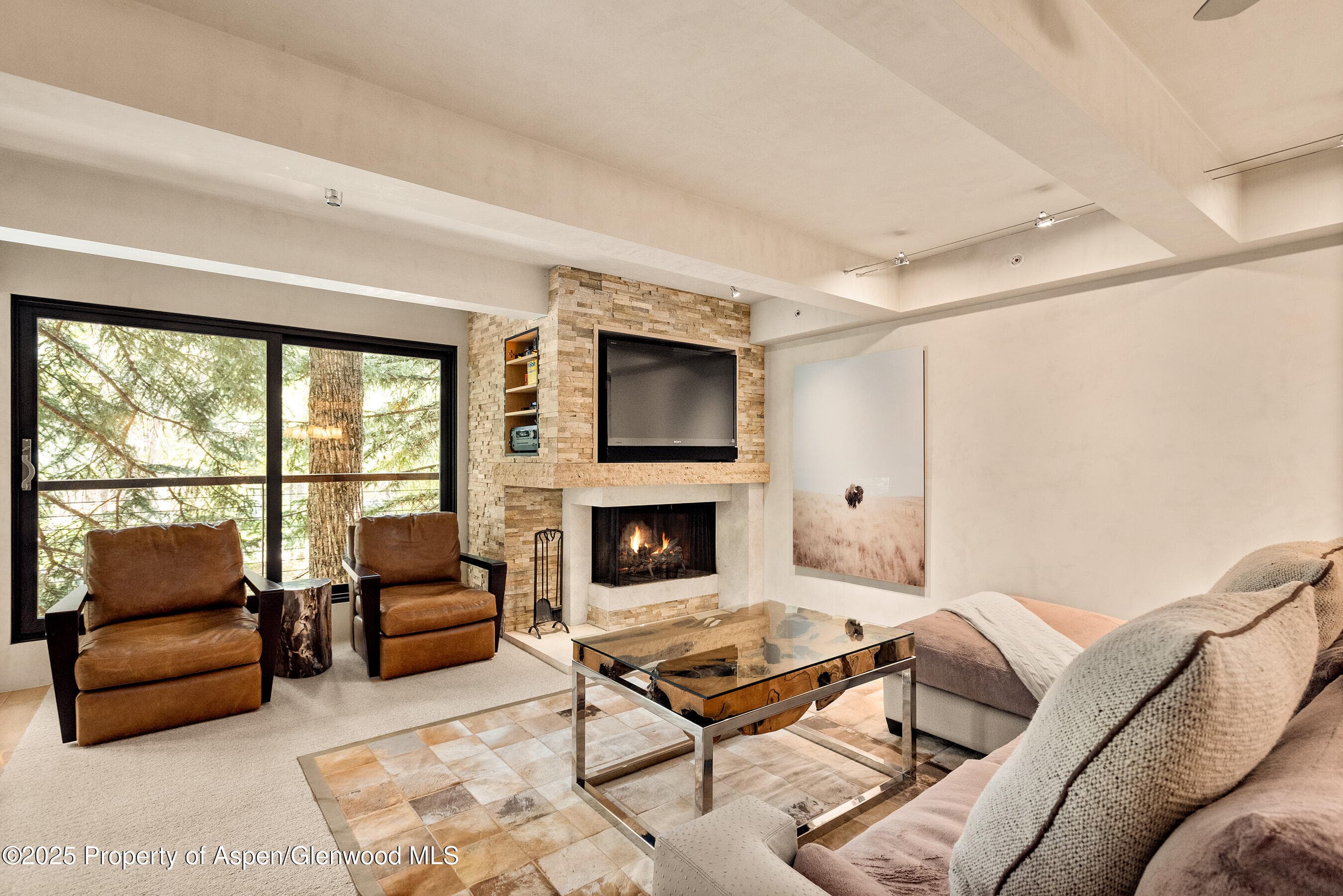 1034 E Cooper Avenue 26, Aspen, CO 81611 - Photo 2