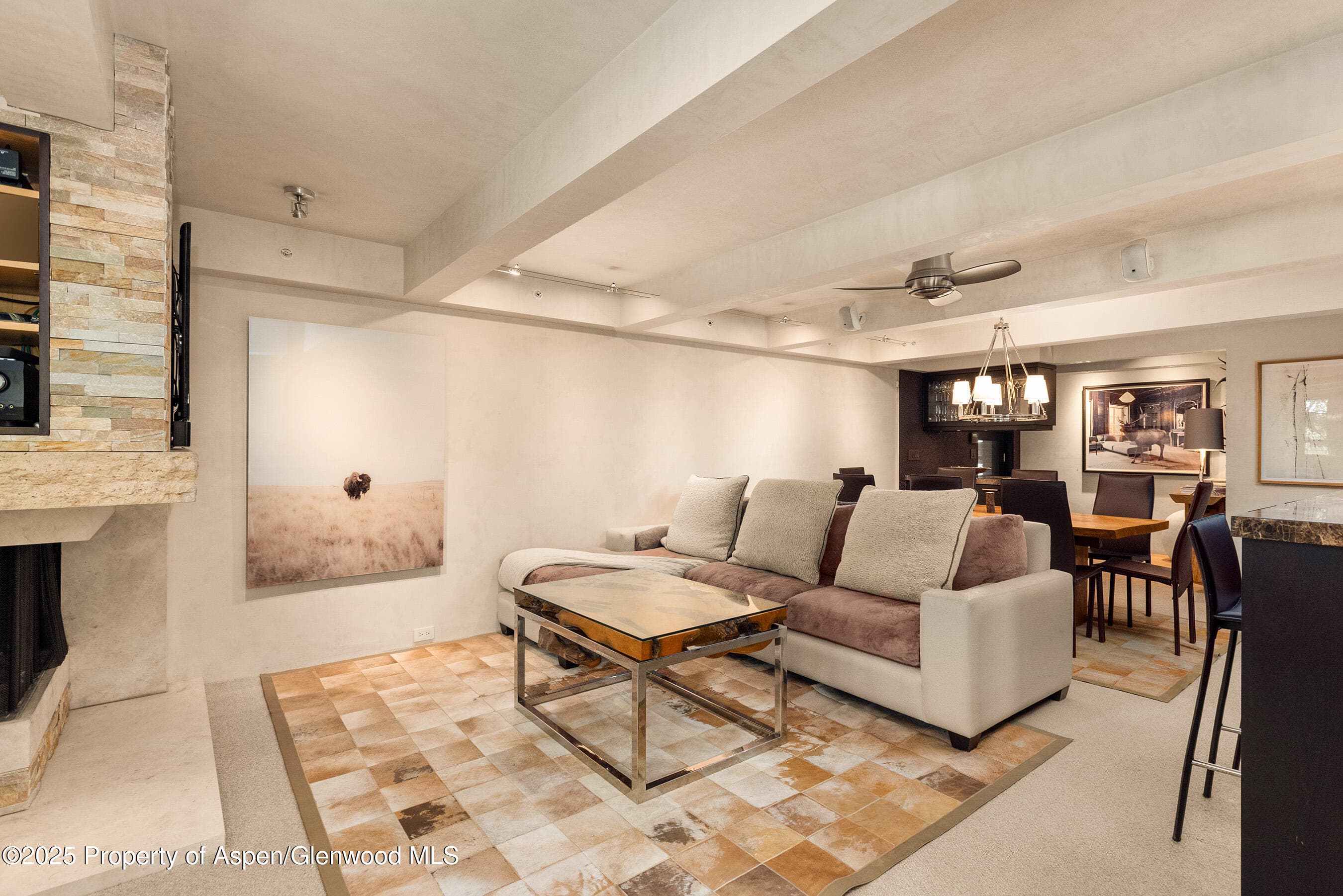1034 E Cooper Avenue 26, Aspen, CO 81611 - Photo 3
