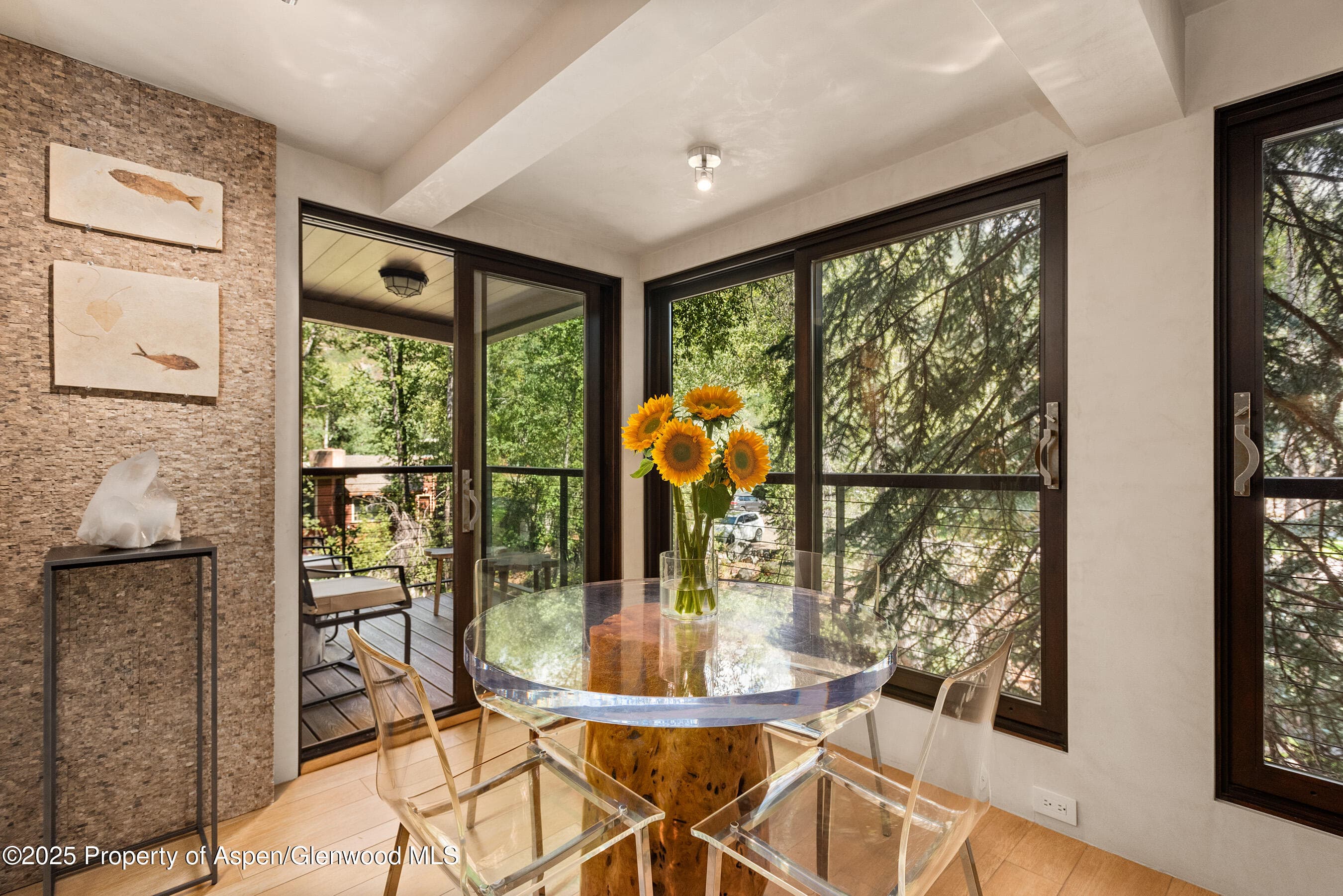 1034 E Cooper Avenue 26, Aspen, CO 81611 - Photo 5