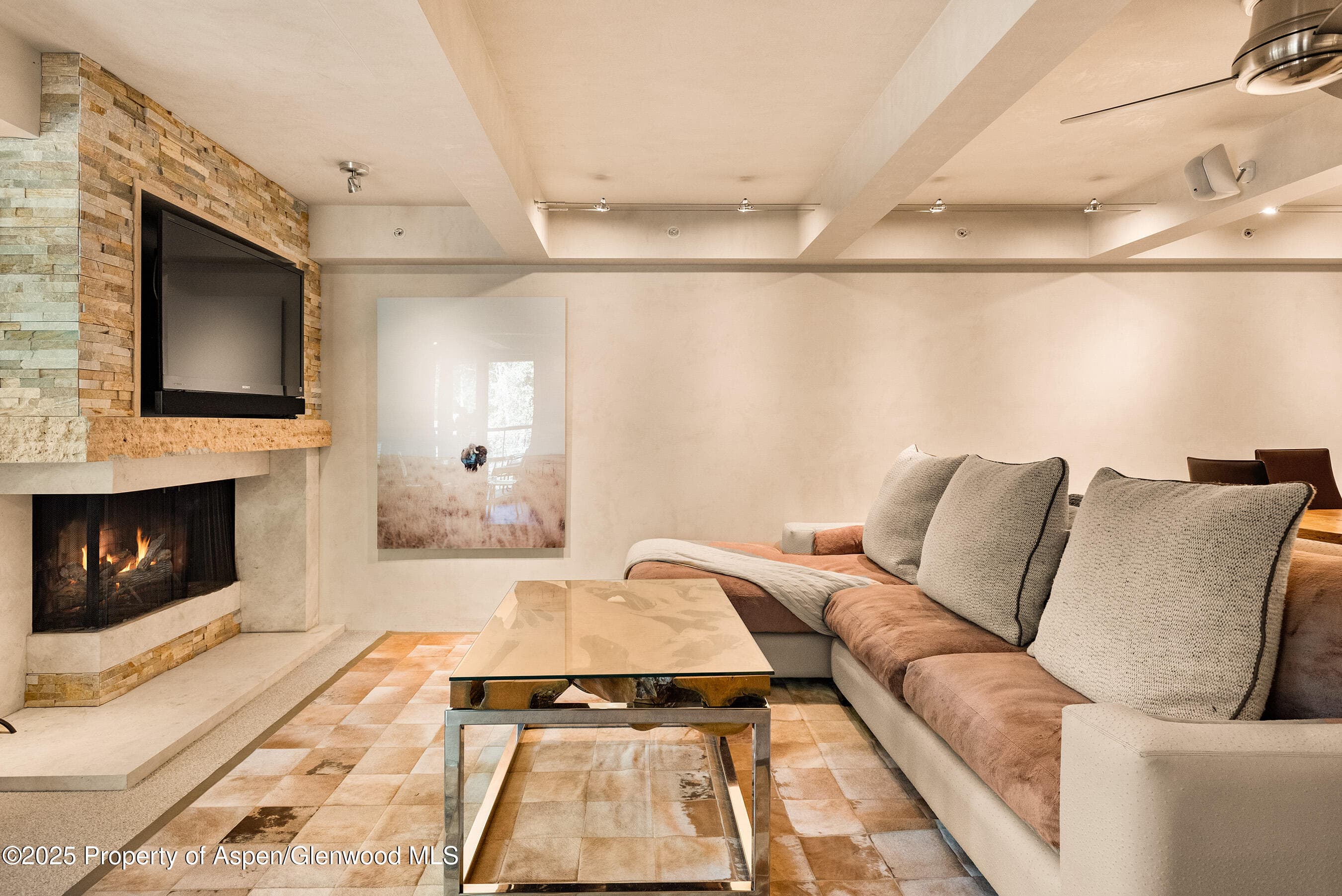 1034 E Cooper Avenue 26, Aspen, CO 81611 - Photo 4