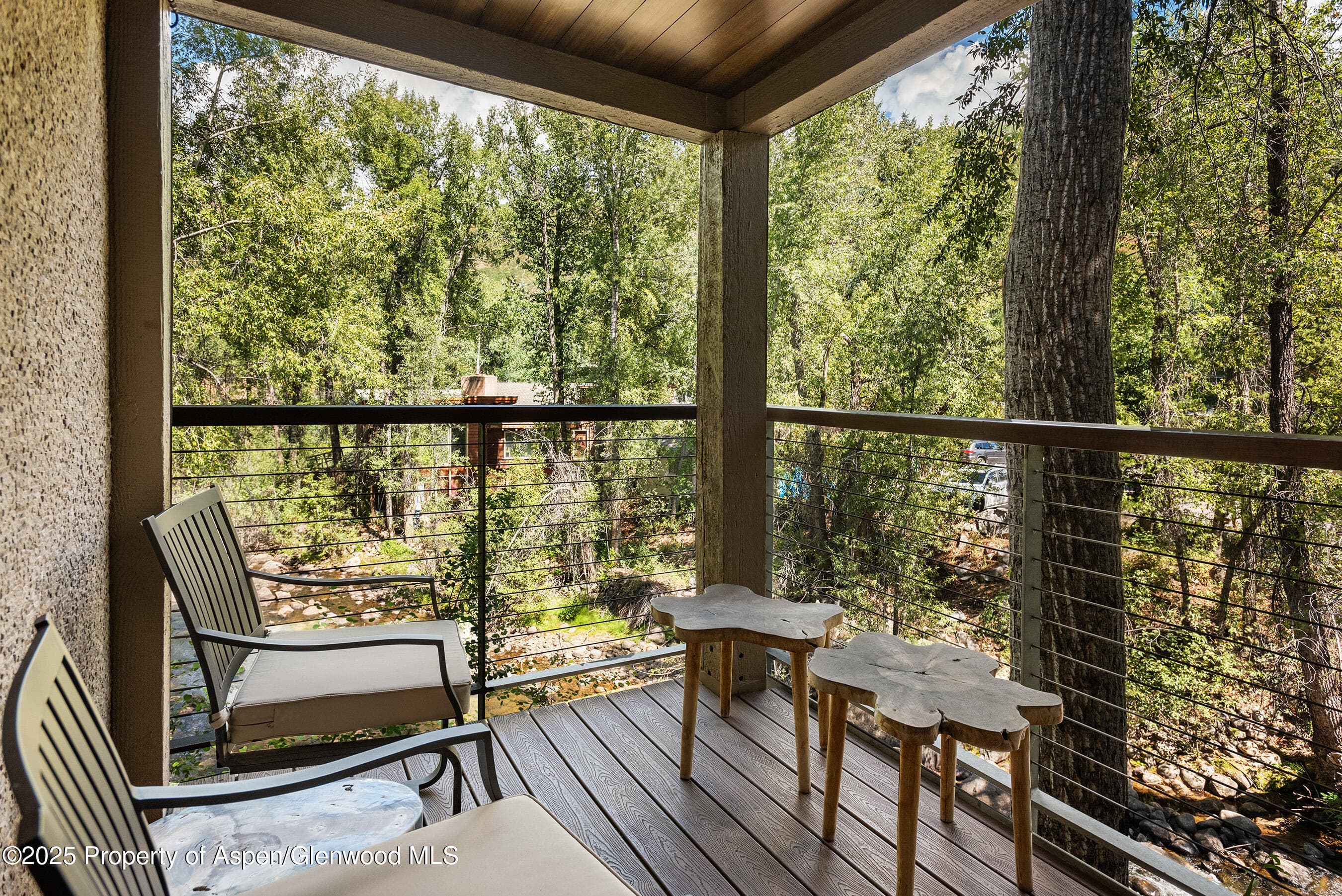 1034 E Cooper Avenue 26, Aspen, CO 81611 - Photo 22