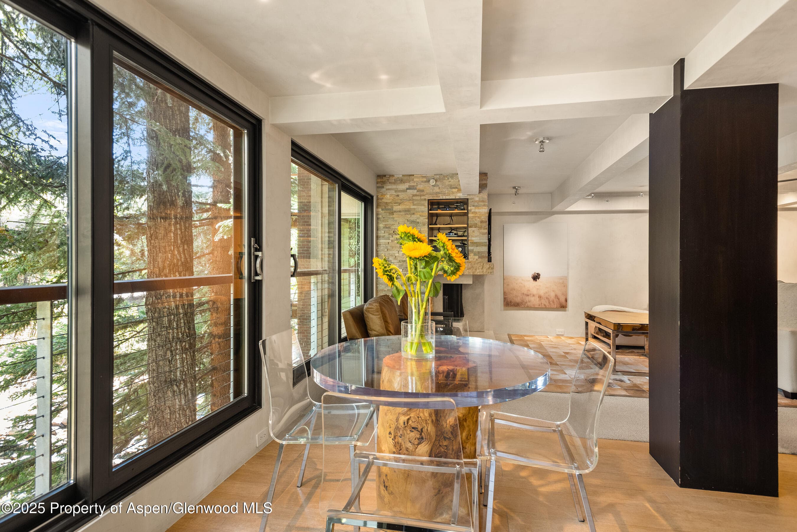 1034 E Cooper Avenue 26, Aspen, CO 81611 - Photo 6