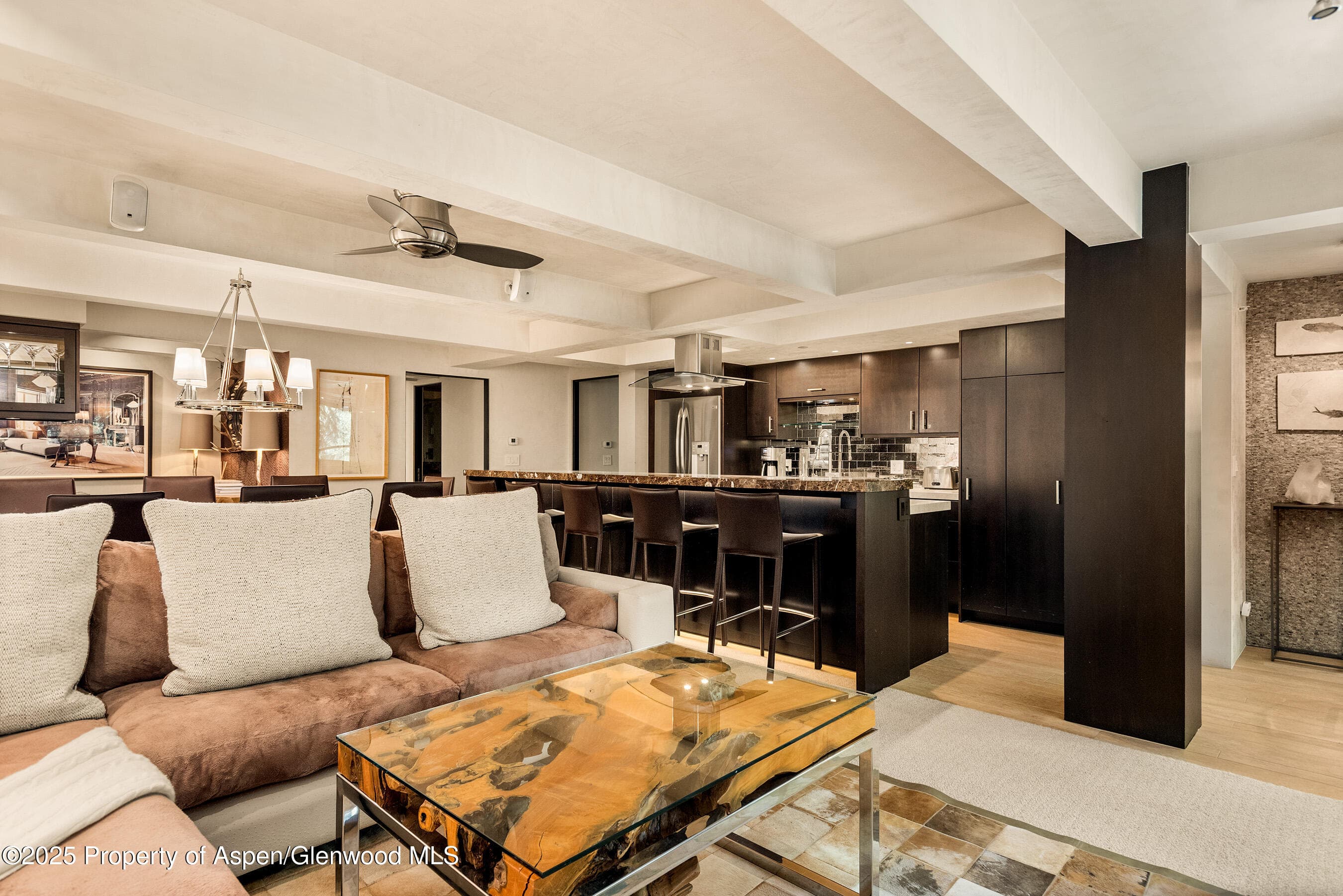 1034 E Cooper Avenue 26, Aspen, CO 81611 - Photo 9