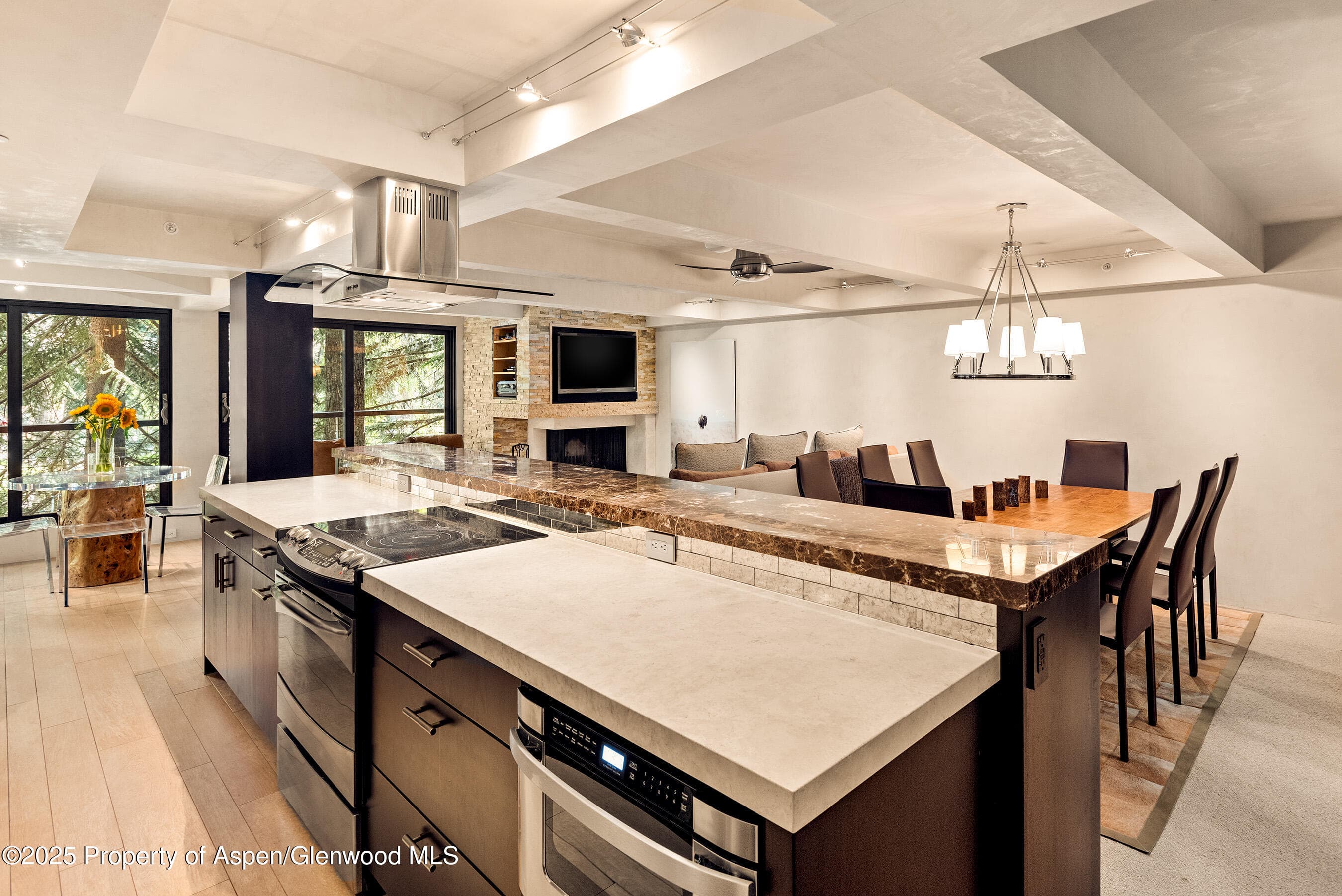1034 E Cooper Avenue 26, Aspen, CO 81611 - Photo 12