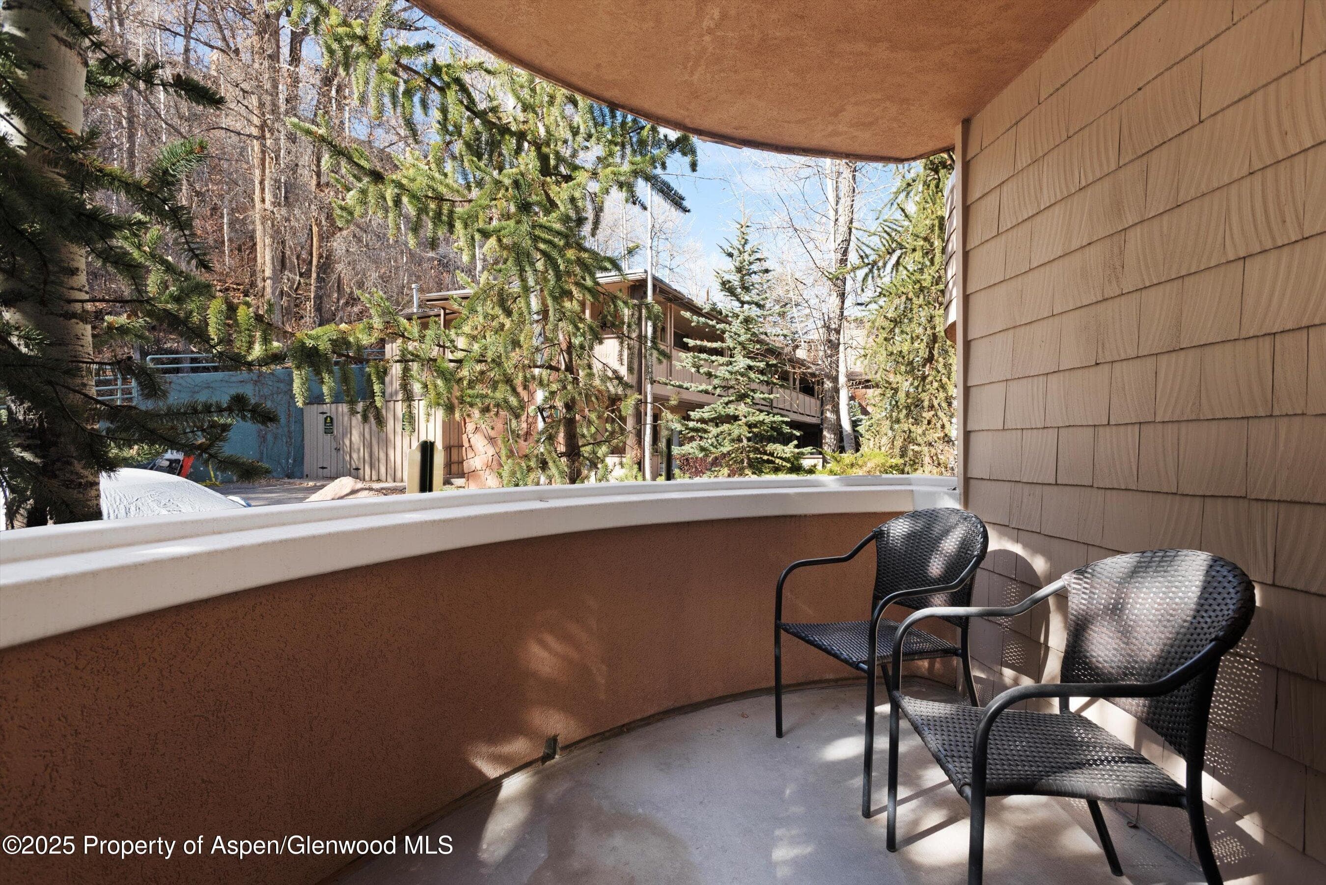 777 UTE Avenue #6, Aspen, CO 81611 - Photo 20