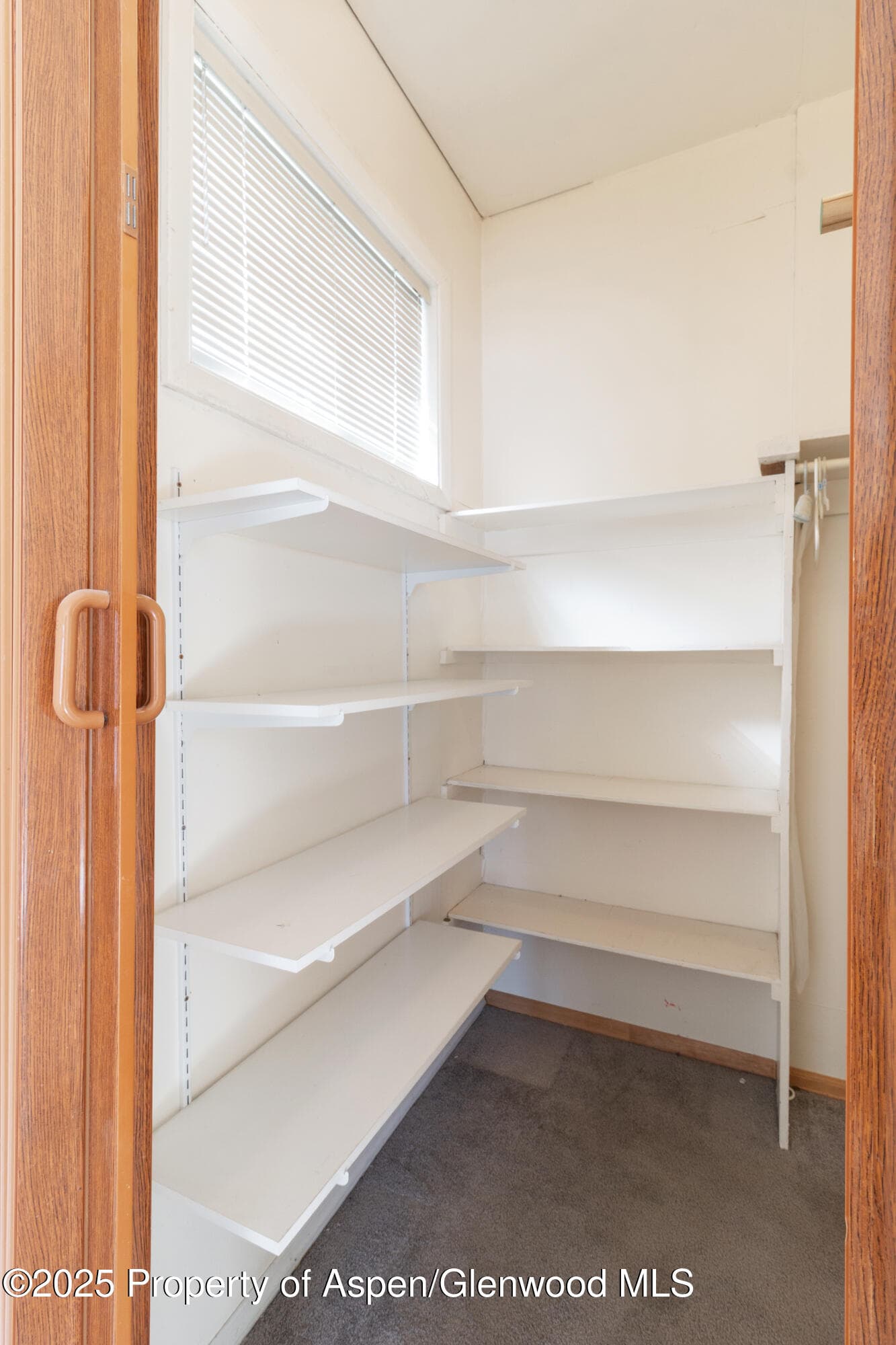 158 Cardinal Way Way, Parachute, CO 81635 - Photo 18