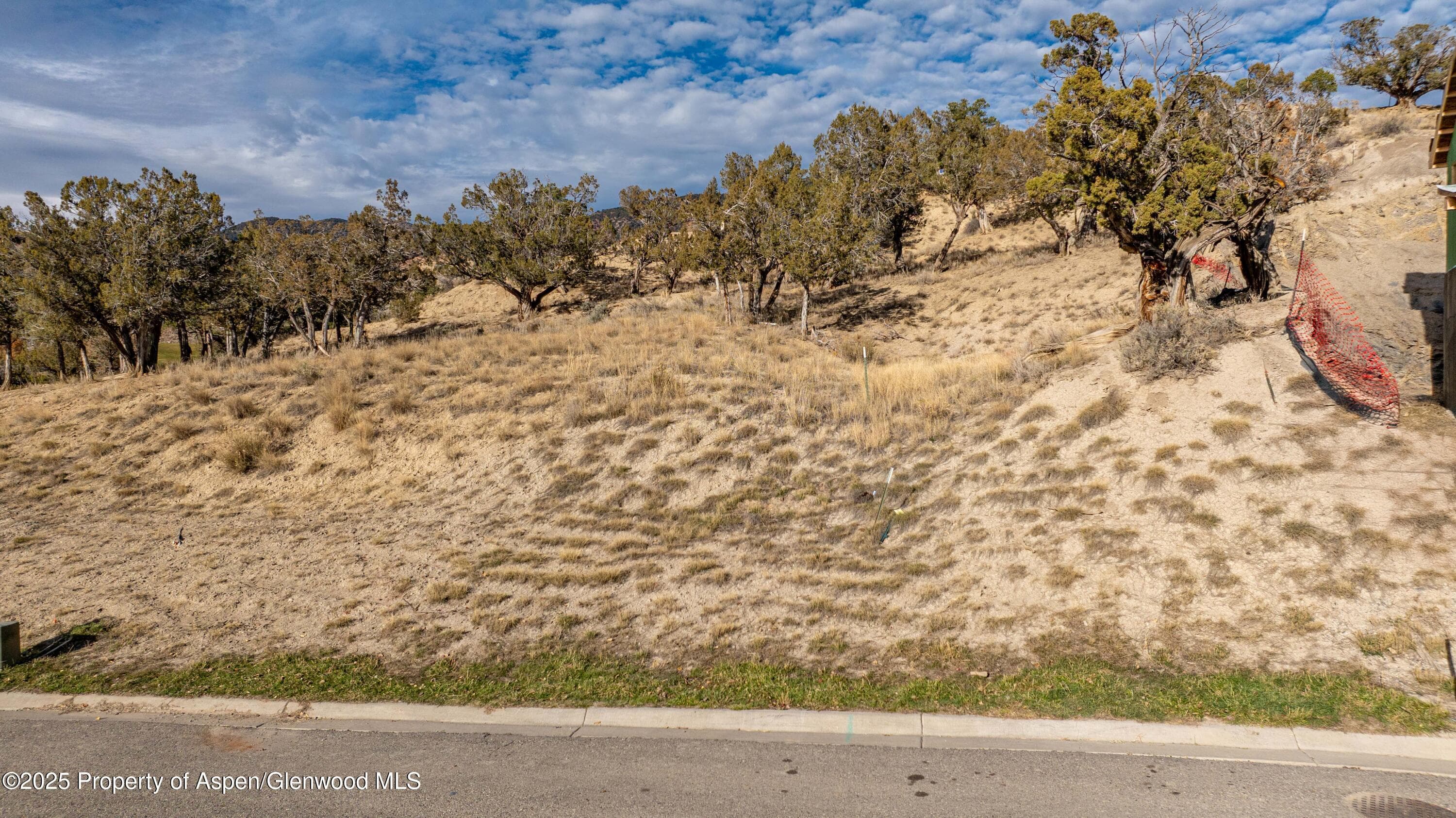 16 MULE DEER Court, New Castle, CO 81647 - Photo 3