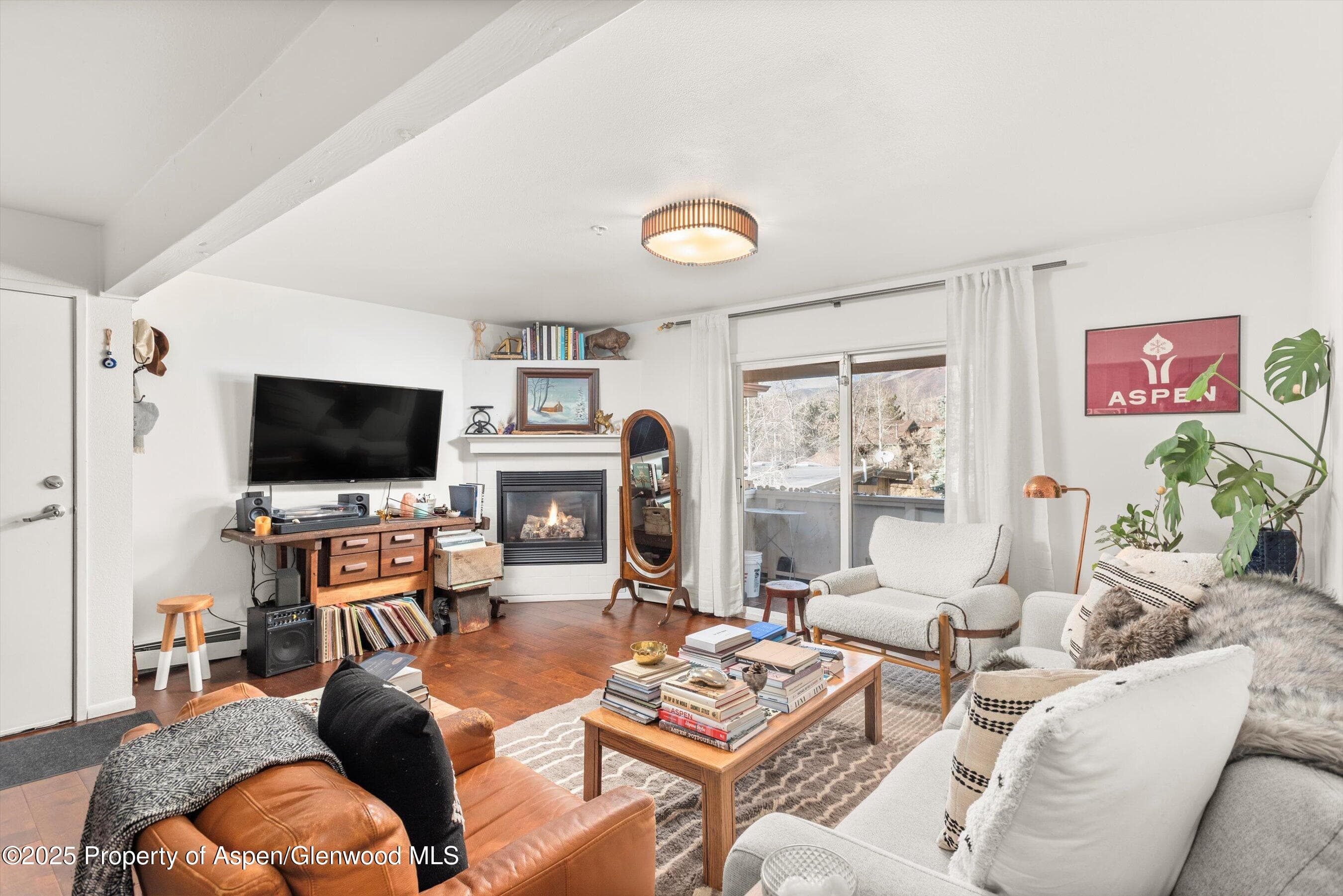 326 Midland Avenue 308, Aspen, CO 81611