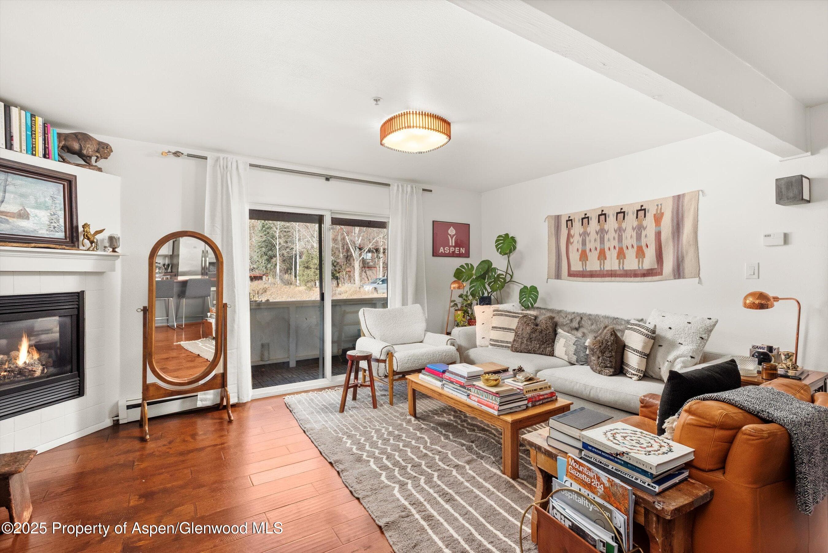 326 Midland Avenue 308, Aspen, CO 81611 - Photo 2