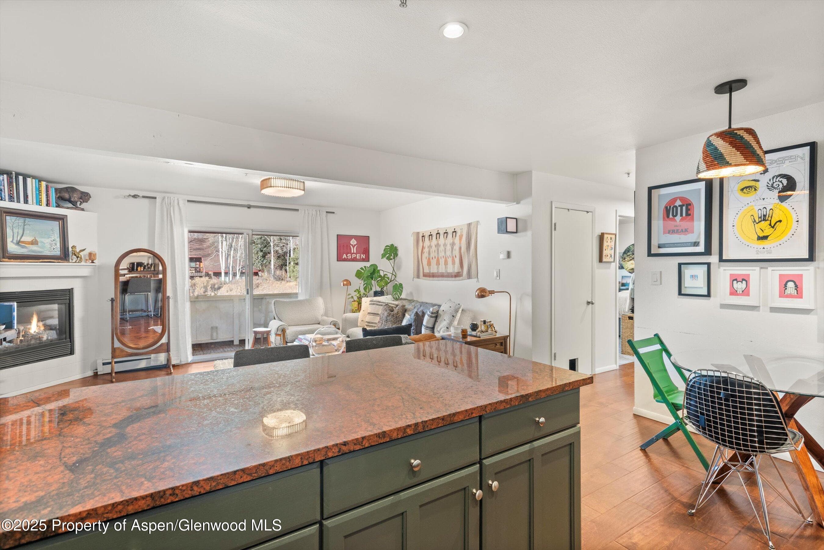 326 Midland Avenue 308, Aspen, CO 81611 - Photo 9