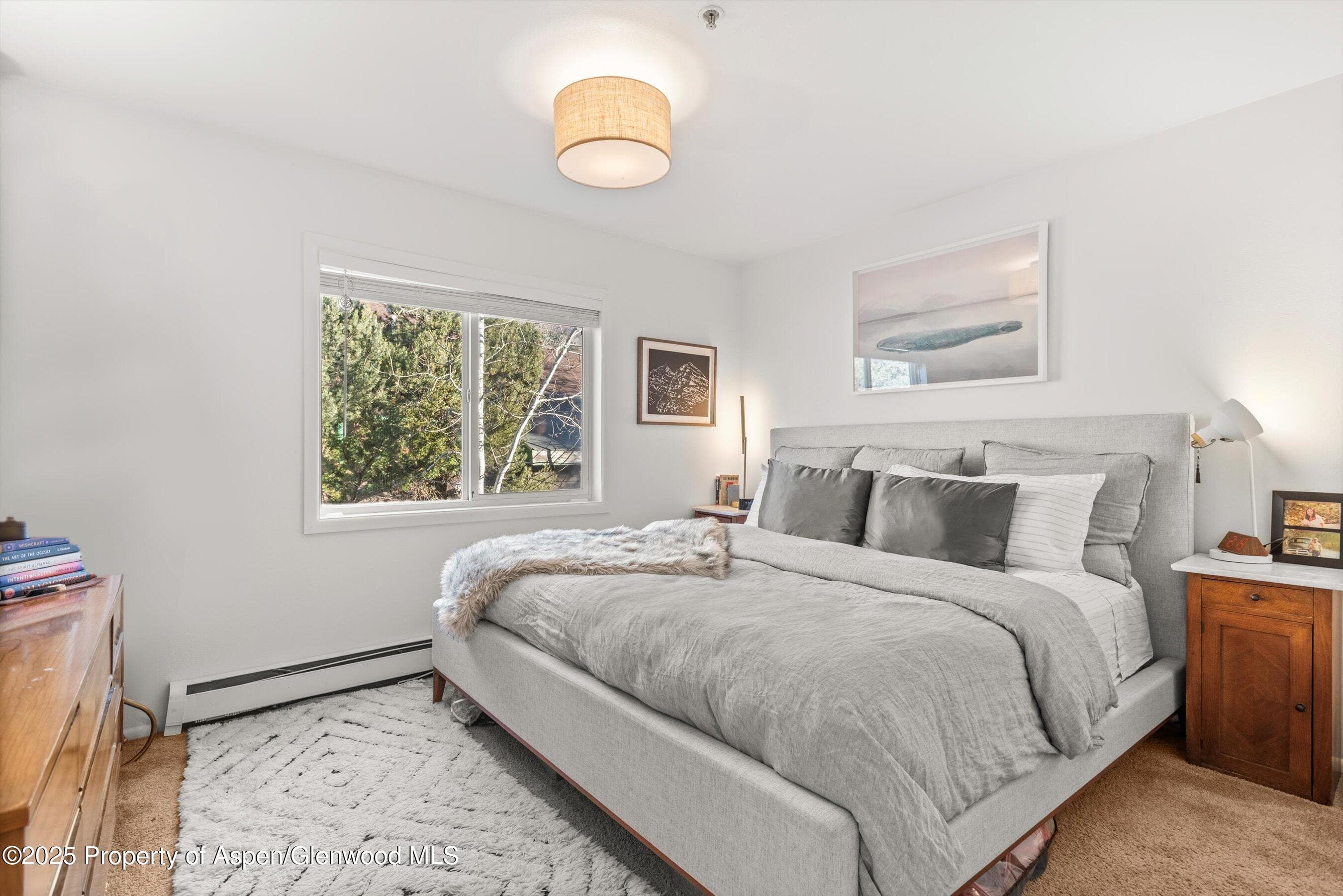 326 Midland Avenue 308, Aspen, CO 81611 - Photo 3