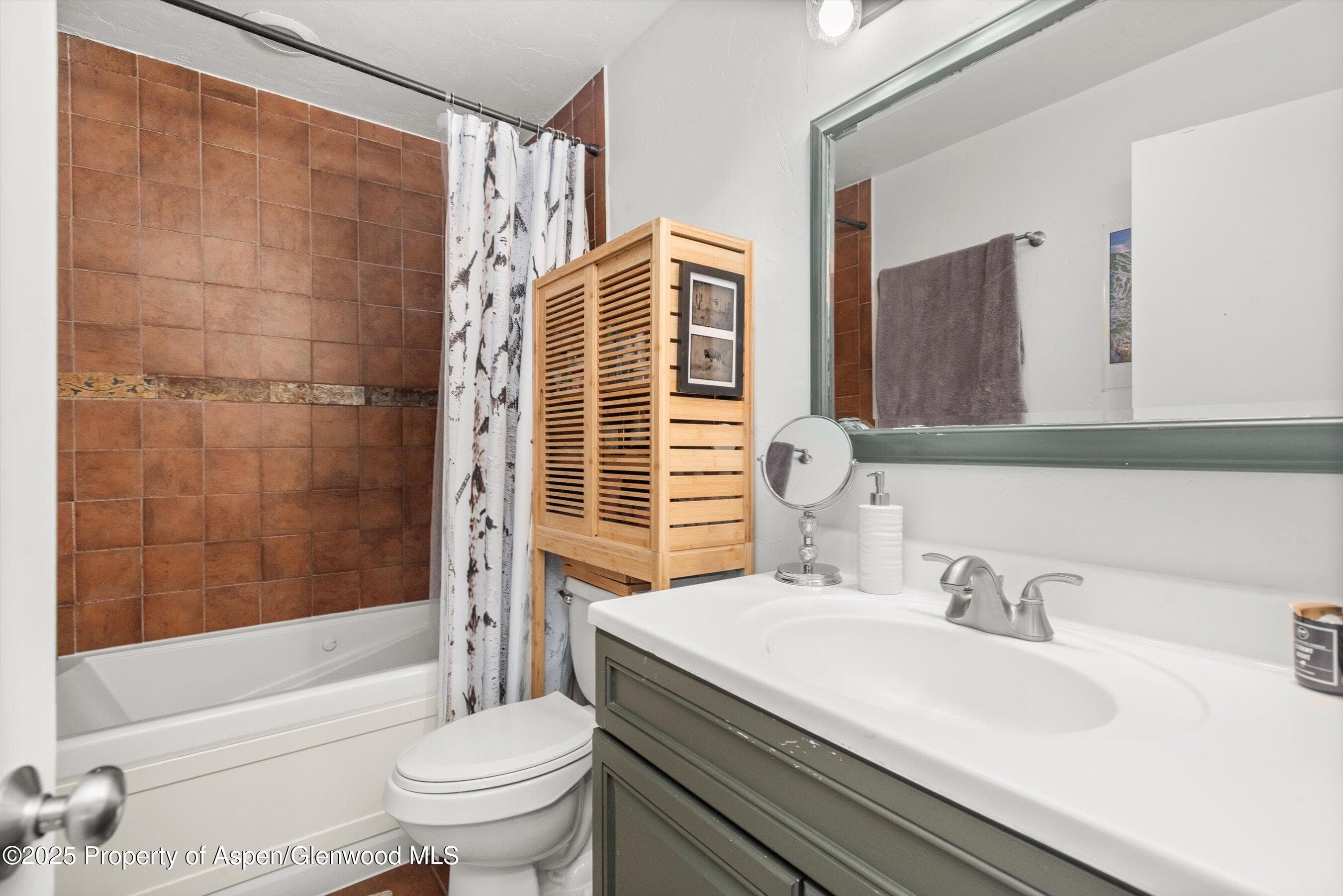326 Midland Avenue 308, Aspen, CO 81611 - Photo 4