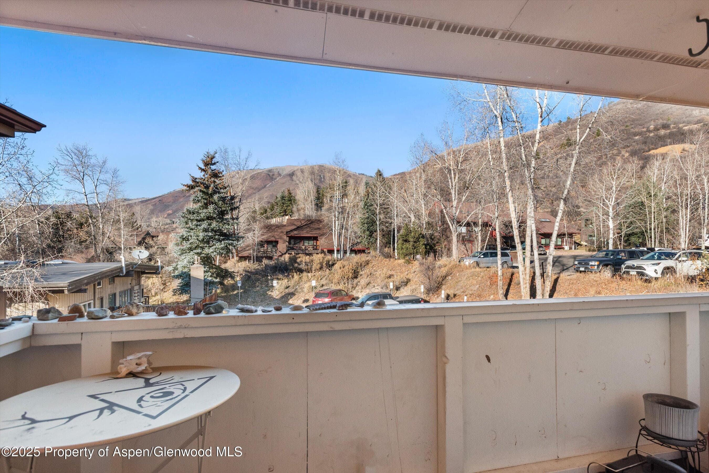 326 Midland Avenue 308, Aspen, CO 81611 - Photo 10