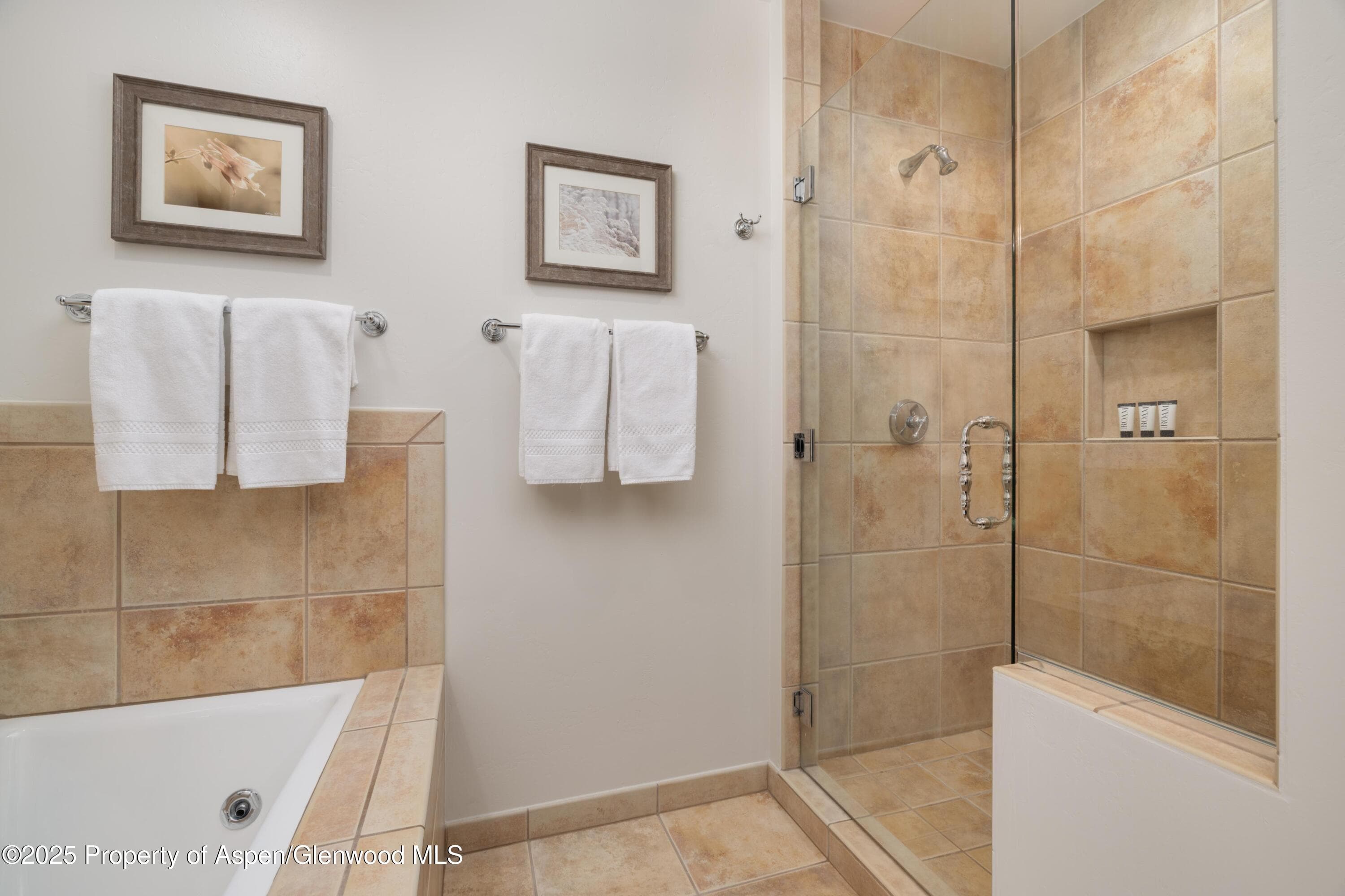 0239 Snowmass Club Circle 131, Snowmass Village, CO 81615 - Photo 12