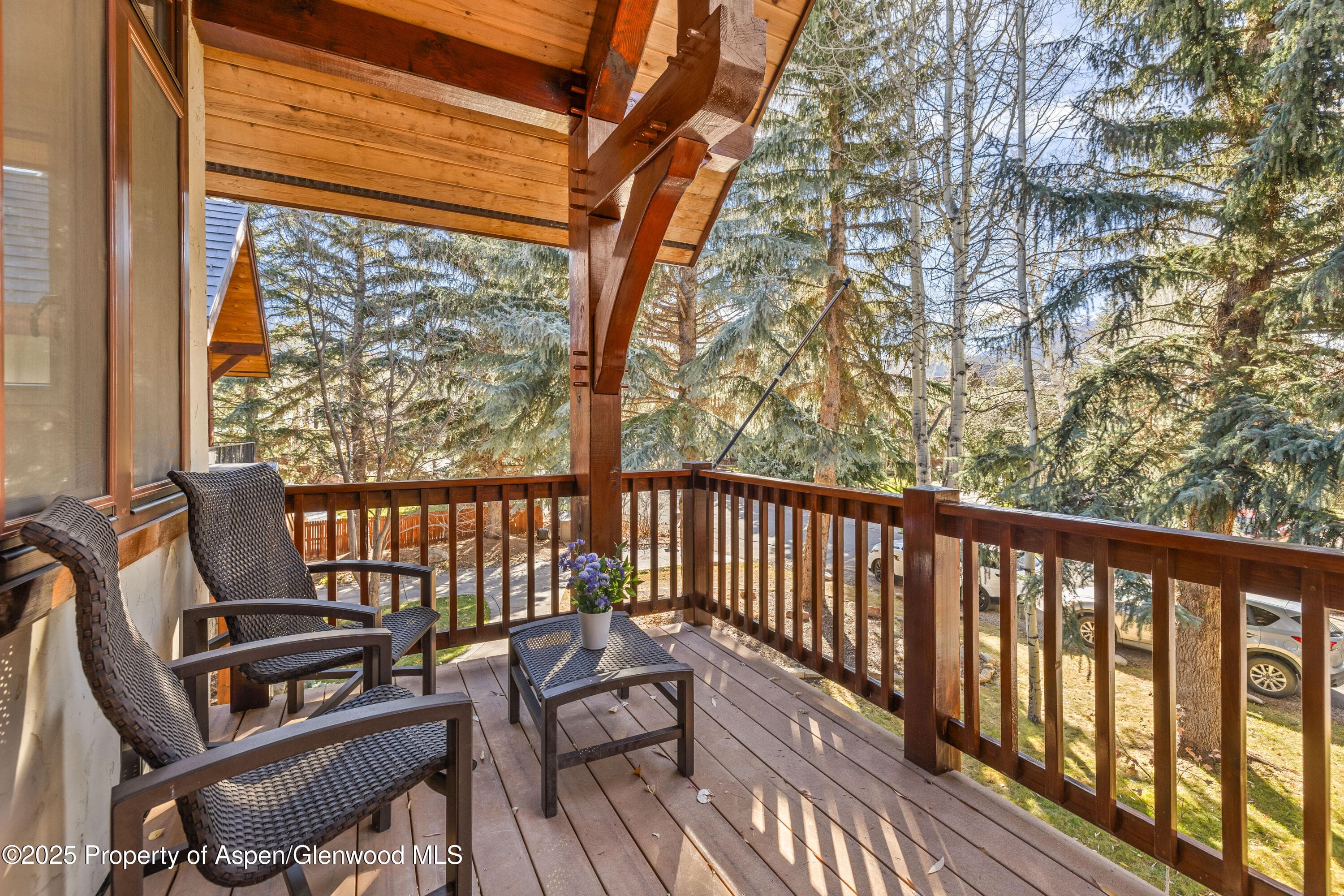 824 Bonita Drive, Aspen, CO 81611 - Photo 4