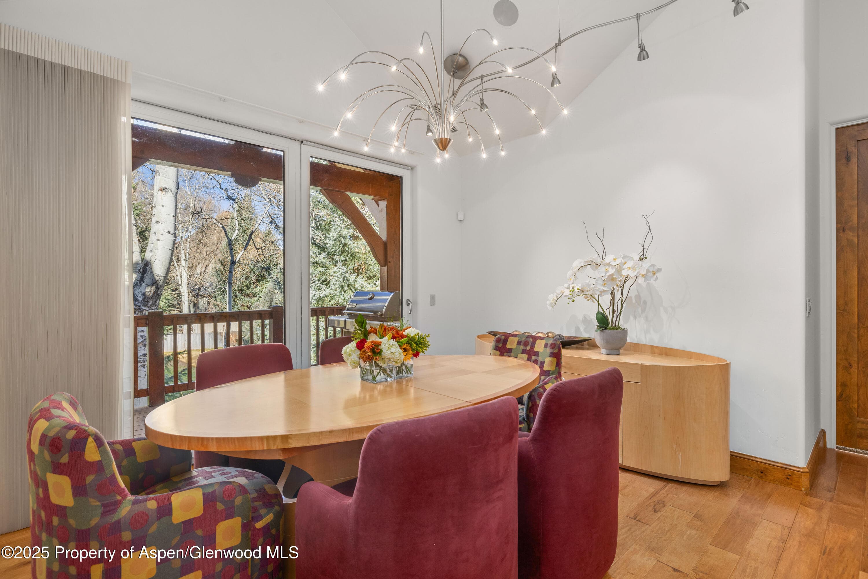 824 Bonita Drive, Aspen, CO 81611 - Photo 9