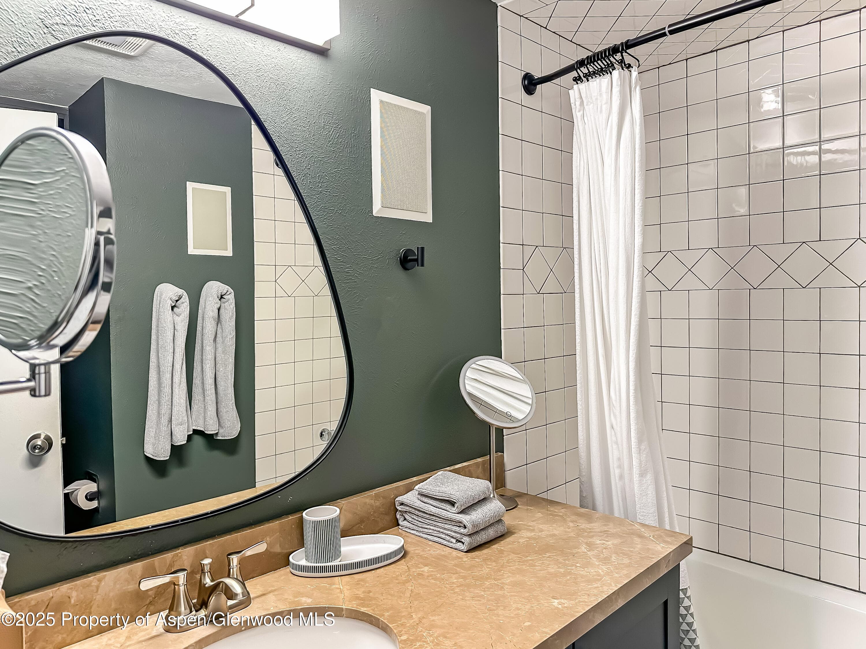 1050 Waters Avenue 9, Aspen, CO 81611 - Photo 16