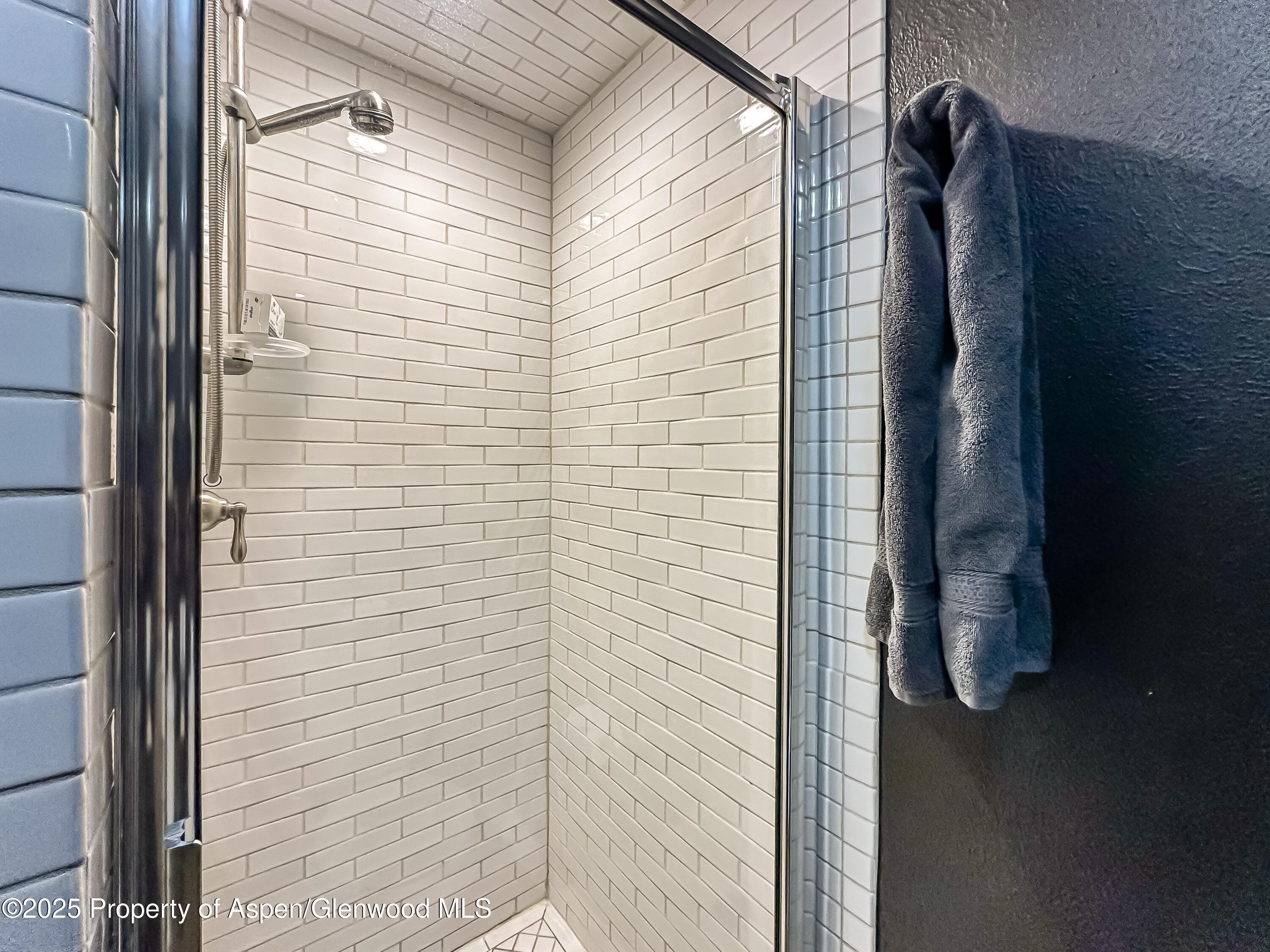 1050 Waters Avenue 9, Aspen, CO 81611 - Photo 18