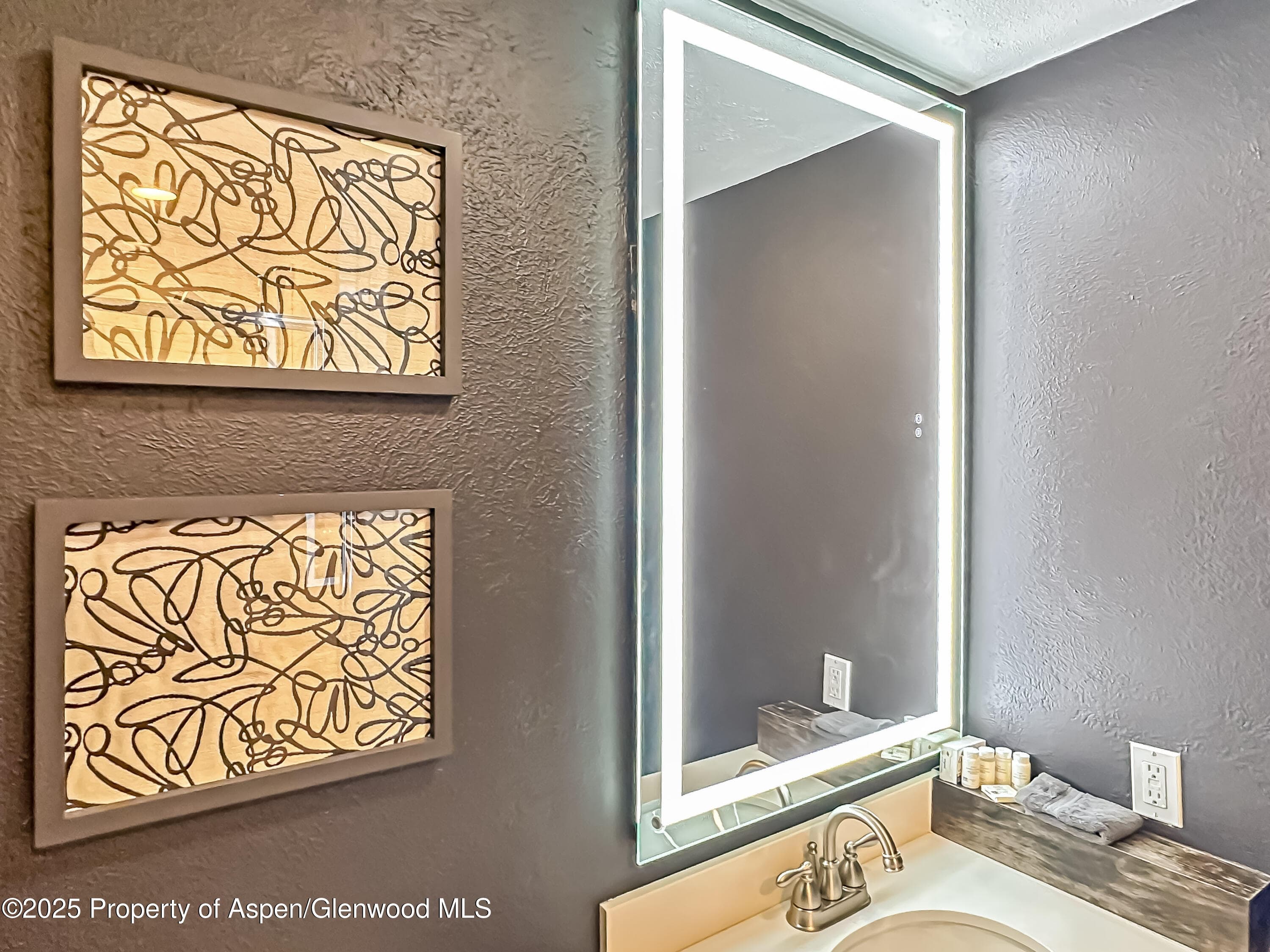1050 Waters Avenue 9, Aspen, CO 81611 - Photo 17