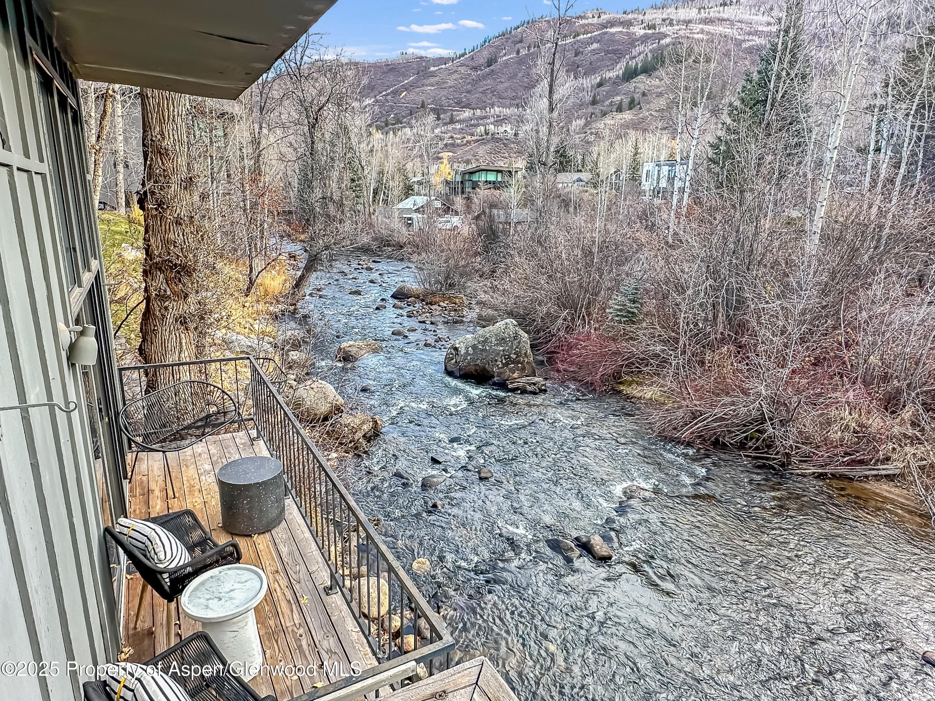 1050 Waters Avenue 9, Aspen, CO 81611 - Photo 19