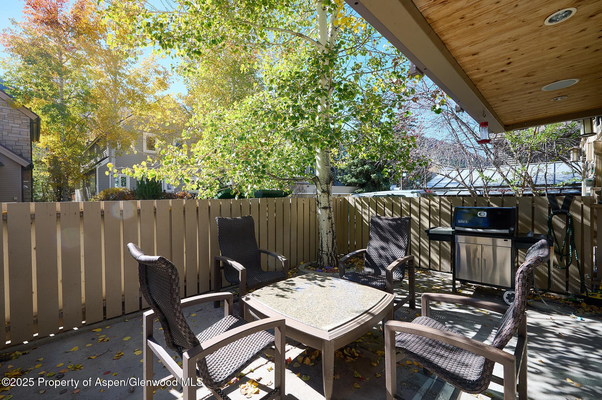 825 E Hopkins Avenue 2S, Aspen, CO 81611 - Photo 18