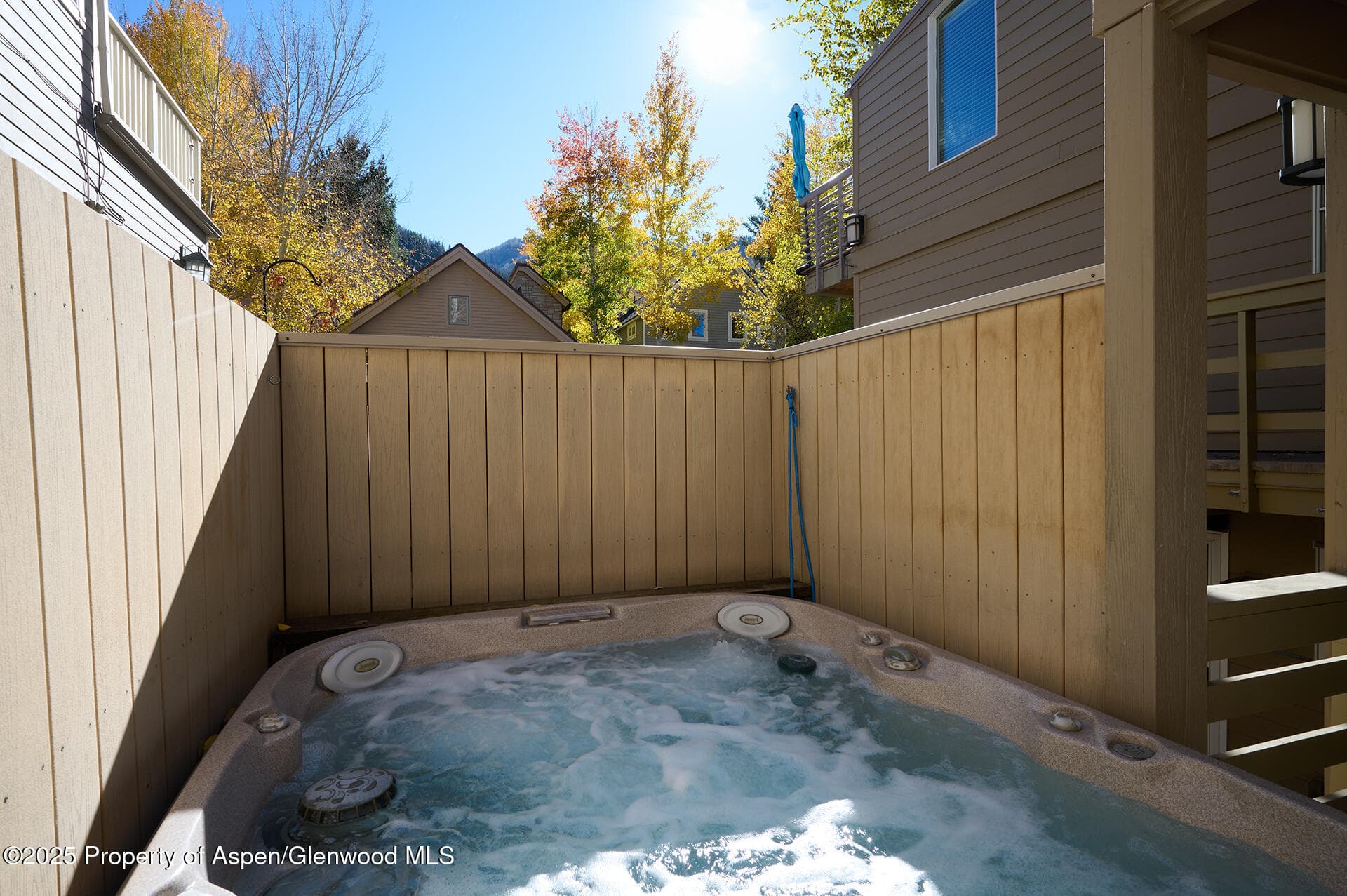 825 E Hopkins Avenue 2S, Aspen, CO 81611 - Photo 19