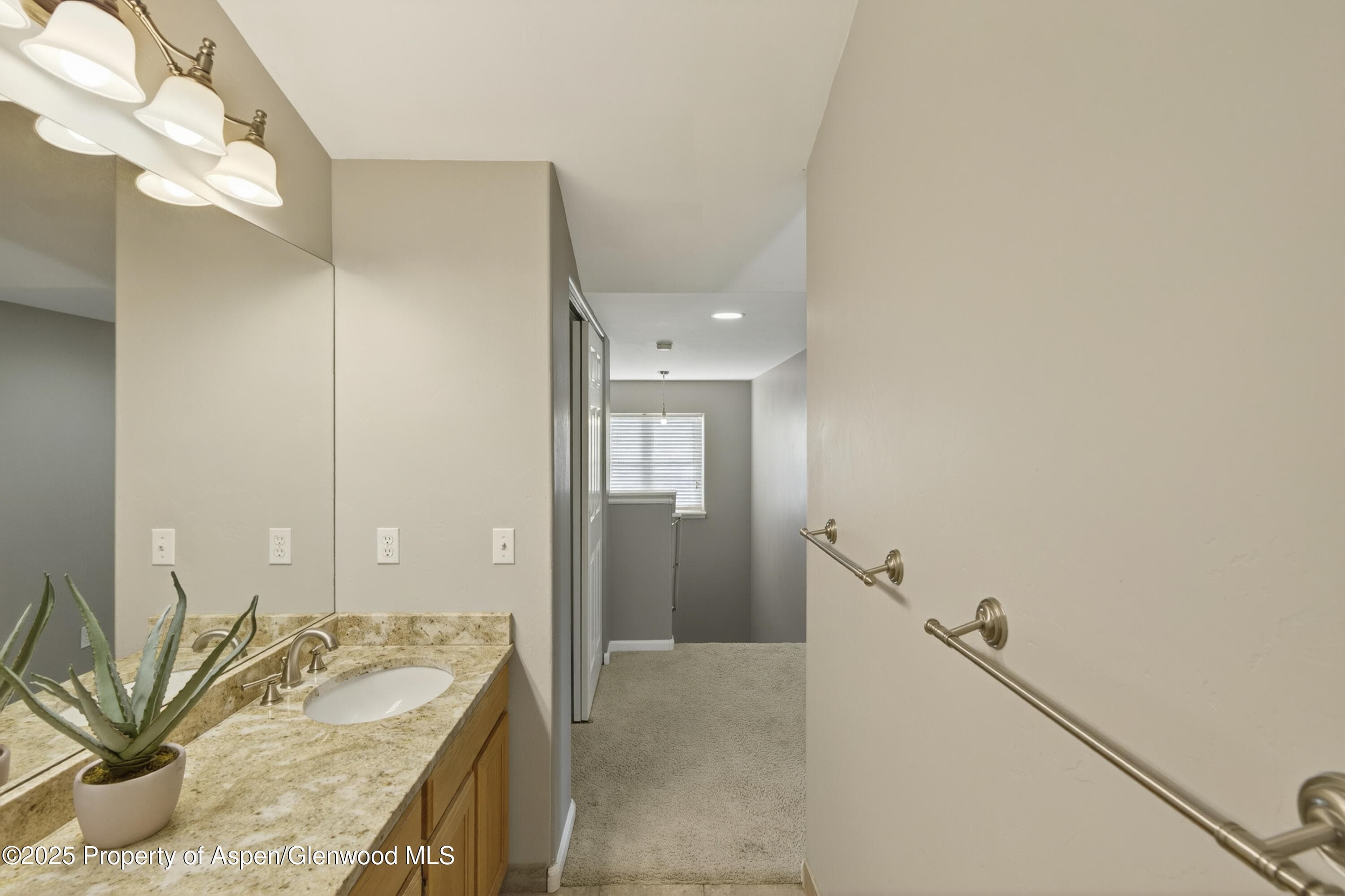 830 Donegan Road D, Glenwood Springs, CO 81601 - Photo 10