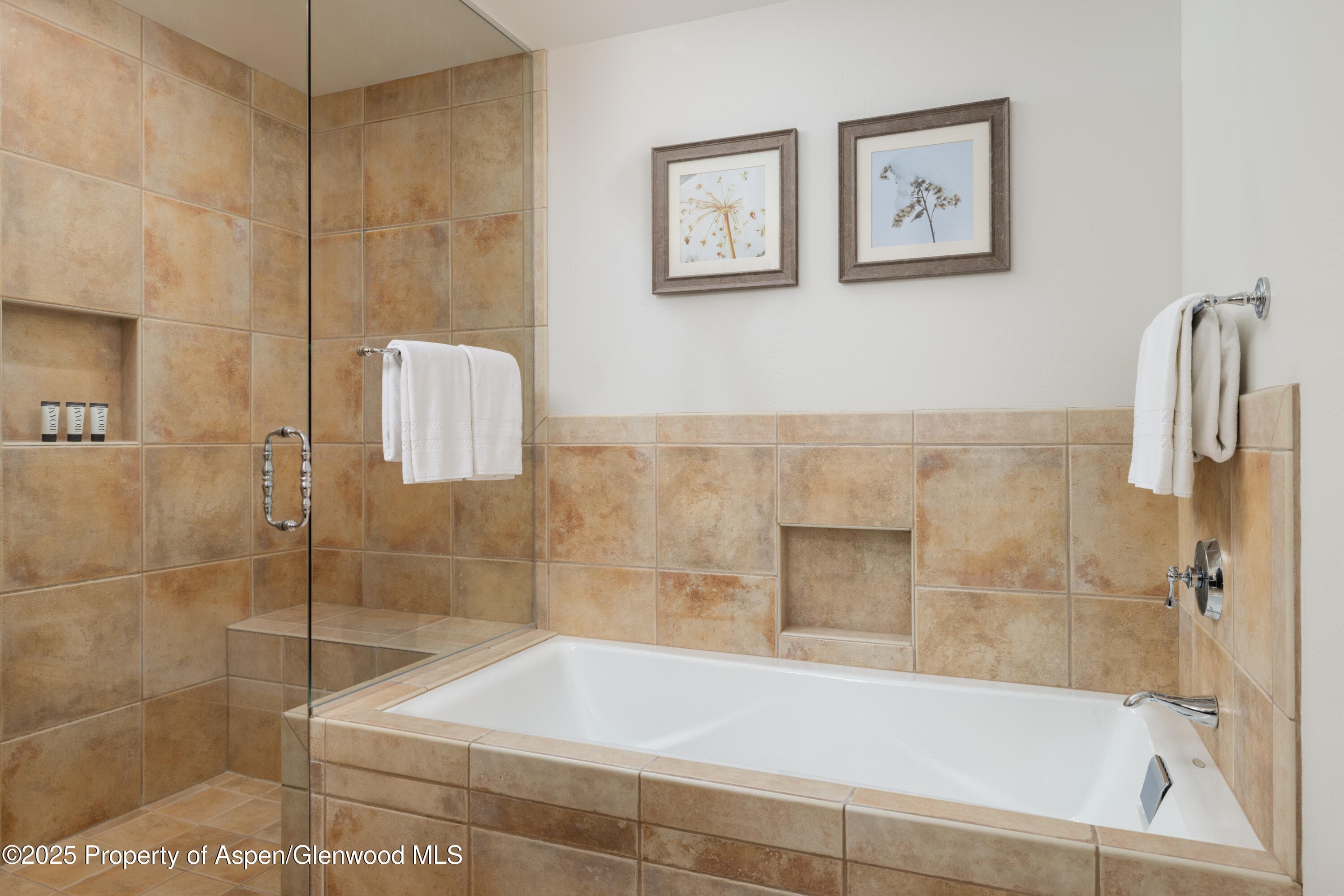 0239 Snowmass Club Circle 110, Snowmass Village, CO 81615 - Photo 19