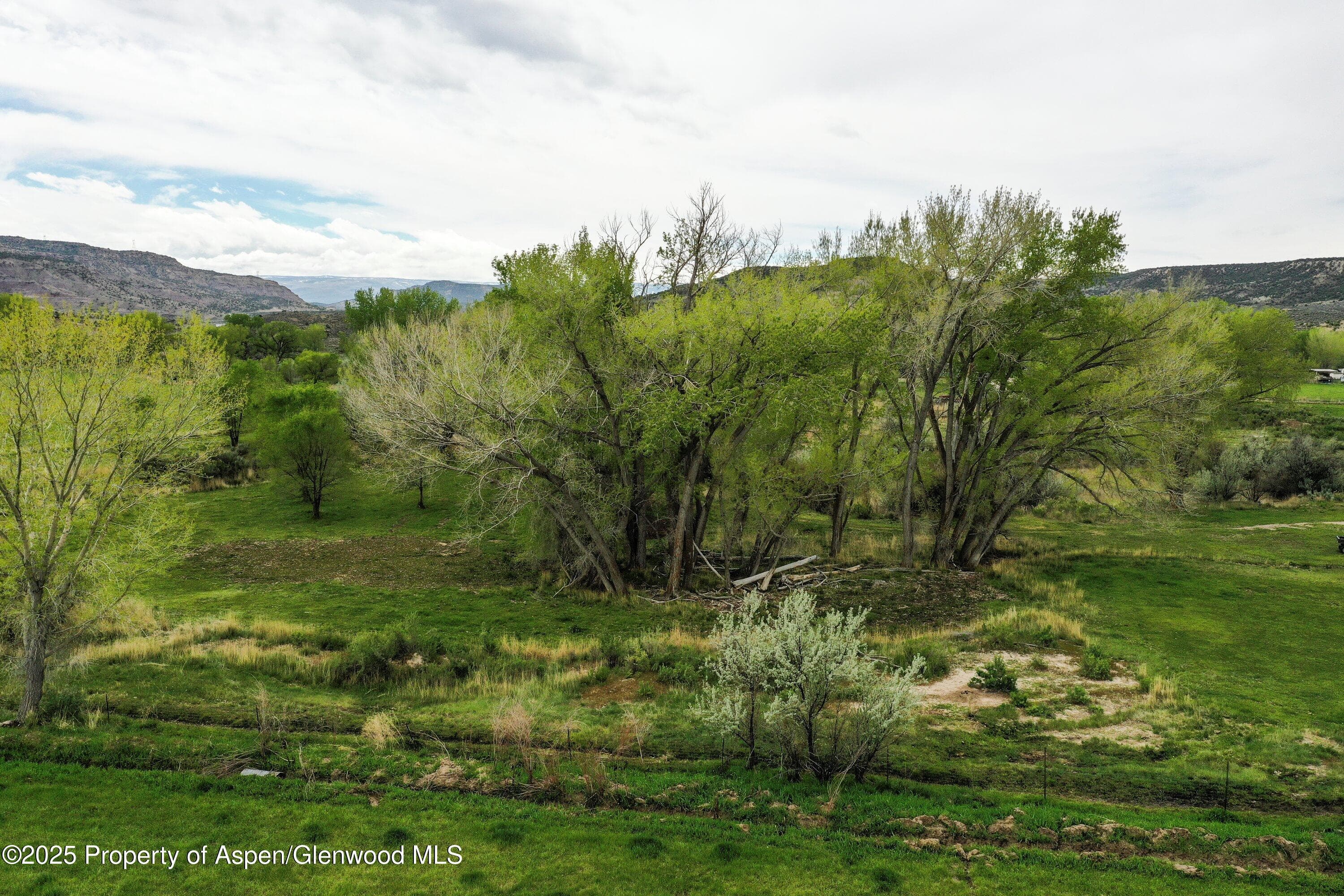 1951 I-70 Frontage Road, De Beque, CO 81630 - Photo 5