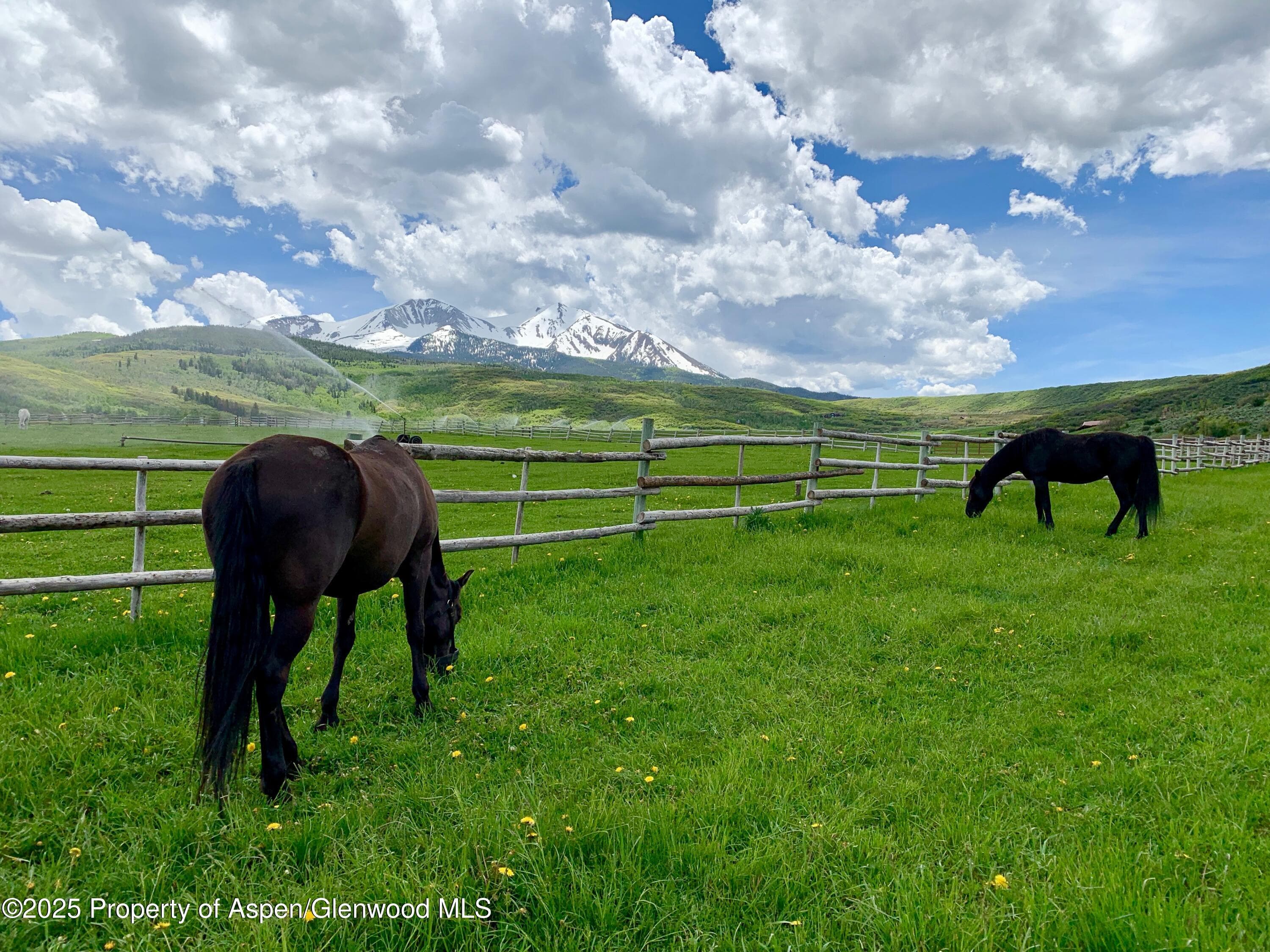 0777 Old Herron Road, Basalt, CO 81621 - Photo 47
