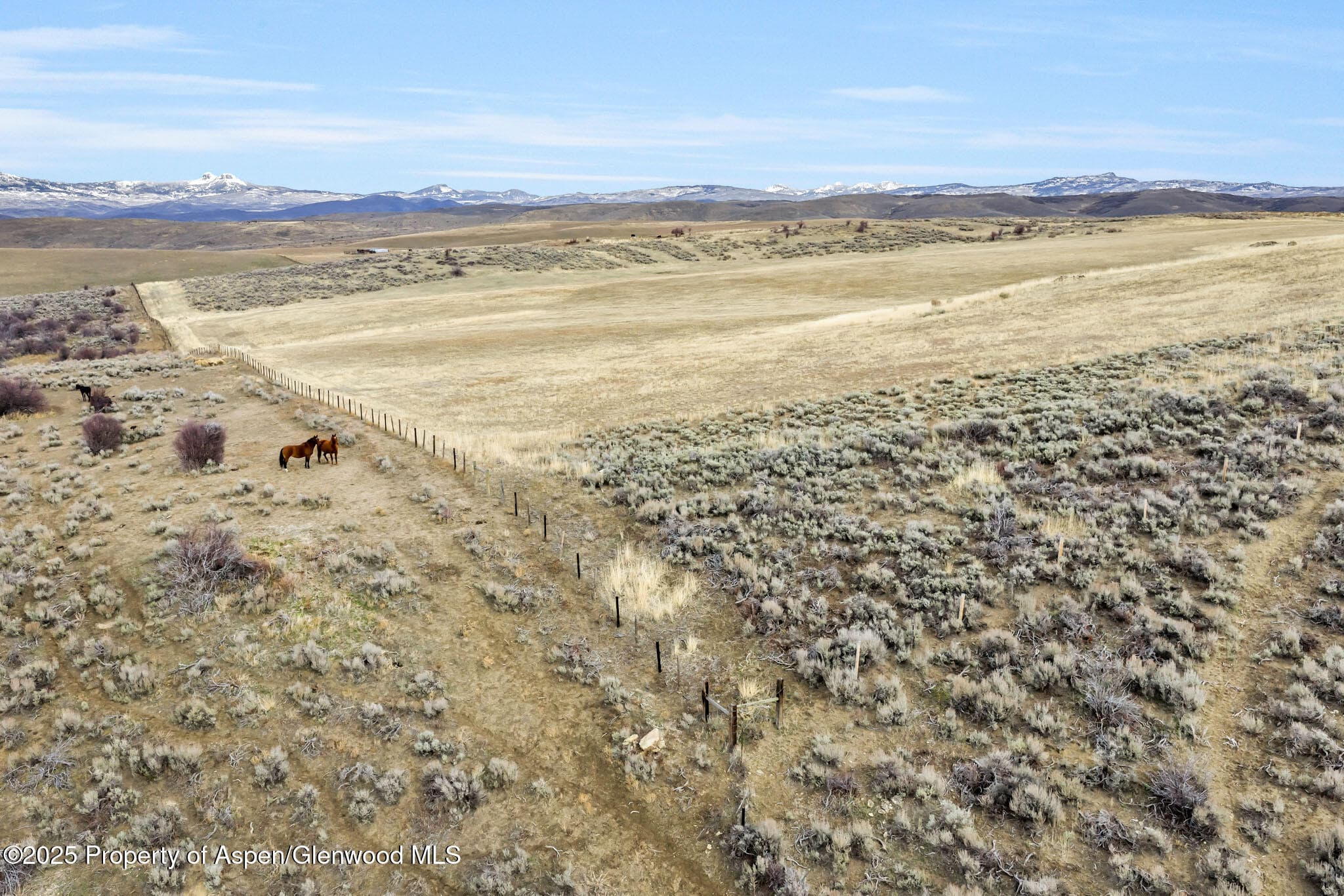 42250 Lookout Lane, Hayden, CO 81639 - Photo 15