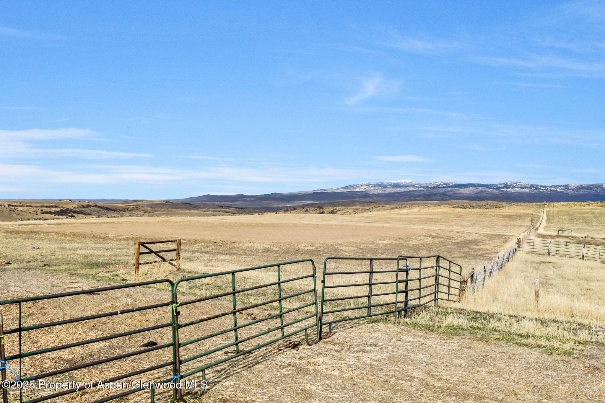 42250 Lookout Lane, Hayden, CO 81639 - Photo 9