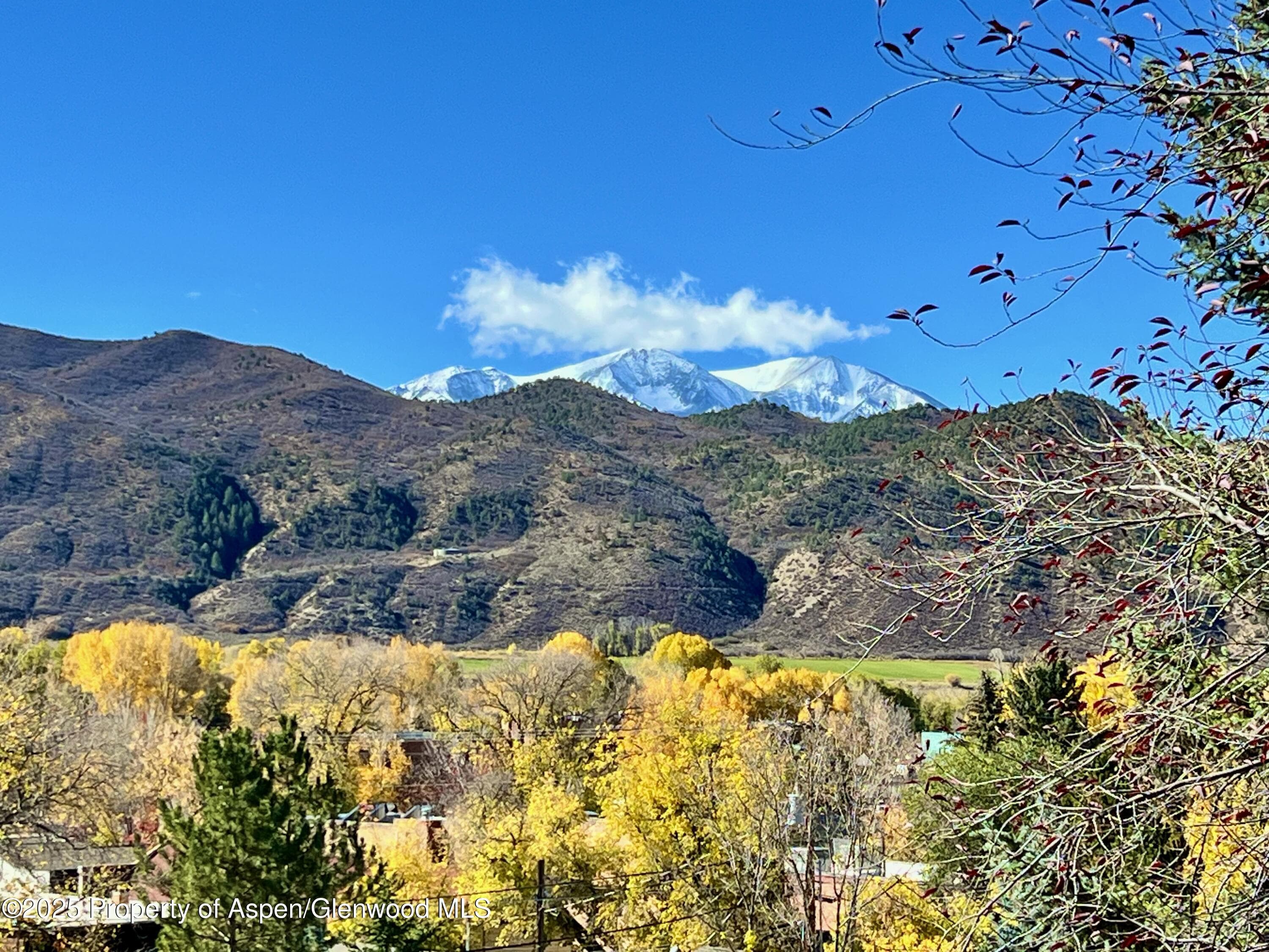 216 E Homestead Drive, Basalt, CO 81621 - Photo 12