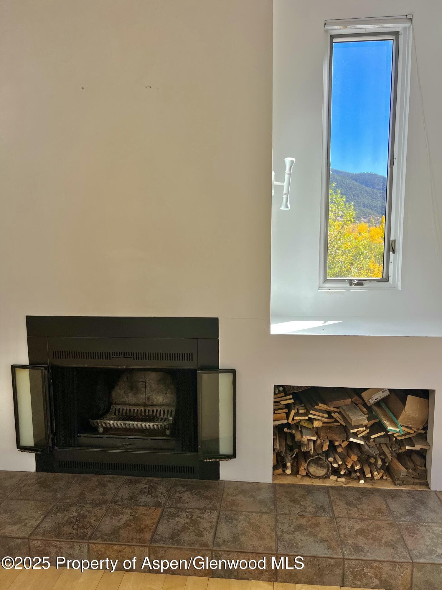 216 E Homestead Drive, Basalt, CO 81621 - Photo 4