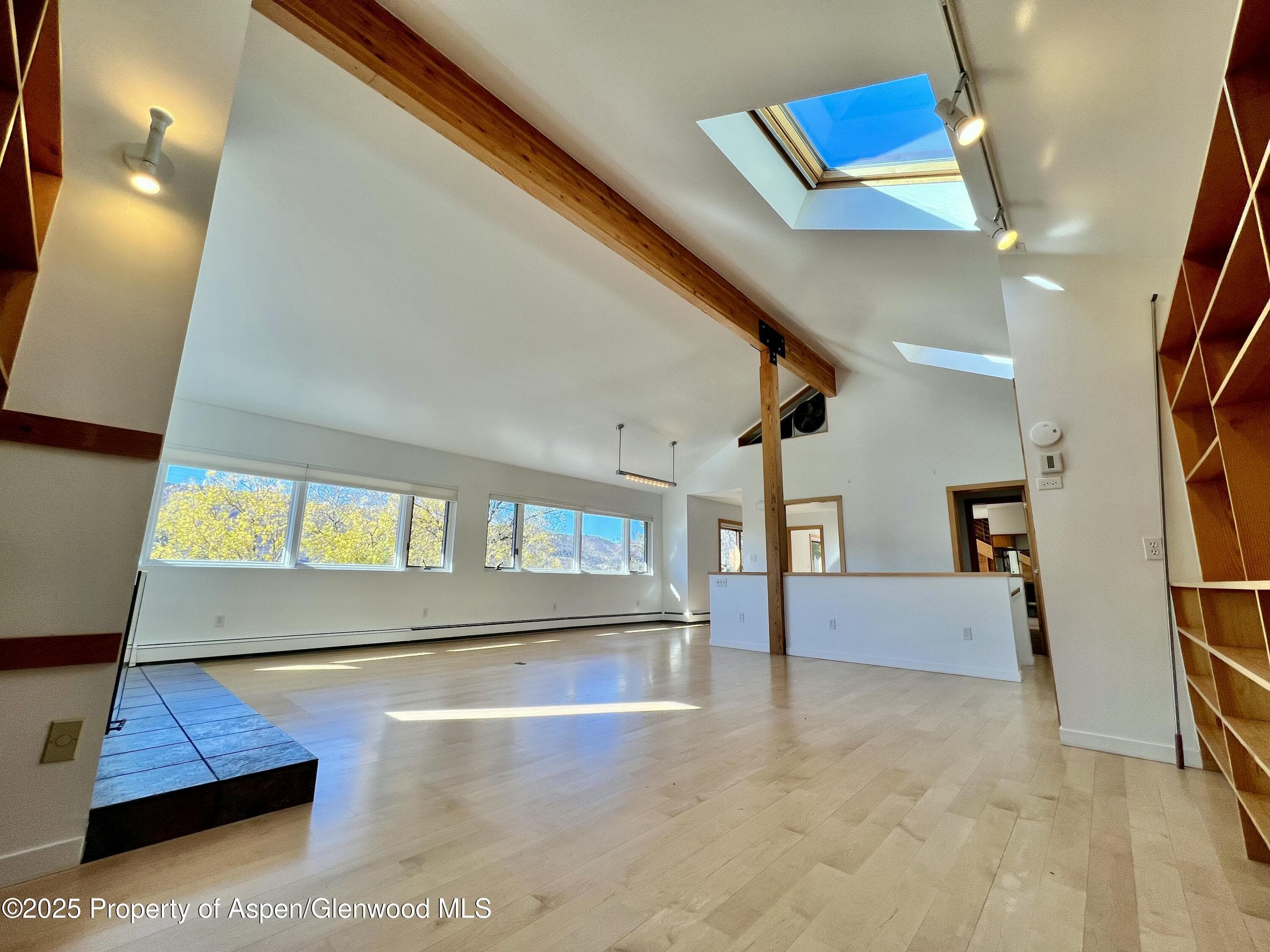 216 E Homestead Drive, Basalt, CO 81621 - Photo 2