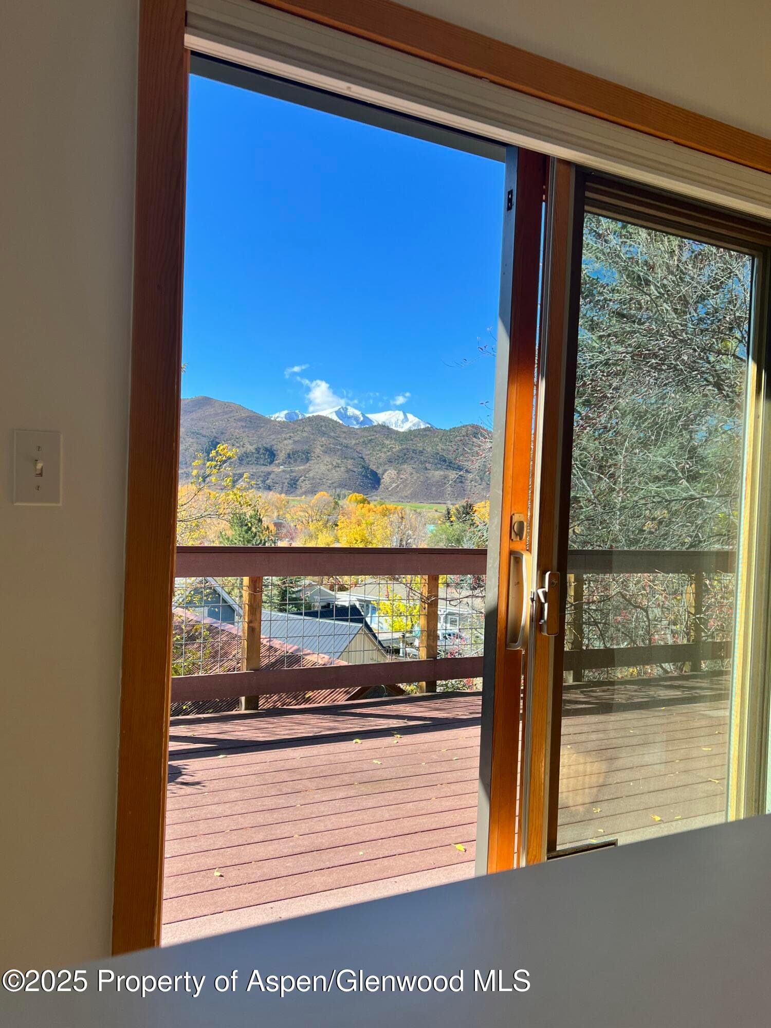 216 E Homestead Drive, Basalt, CO 81621 - Photo 11