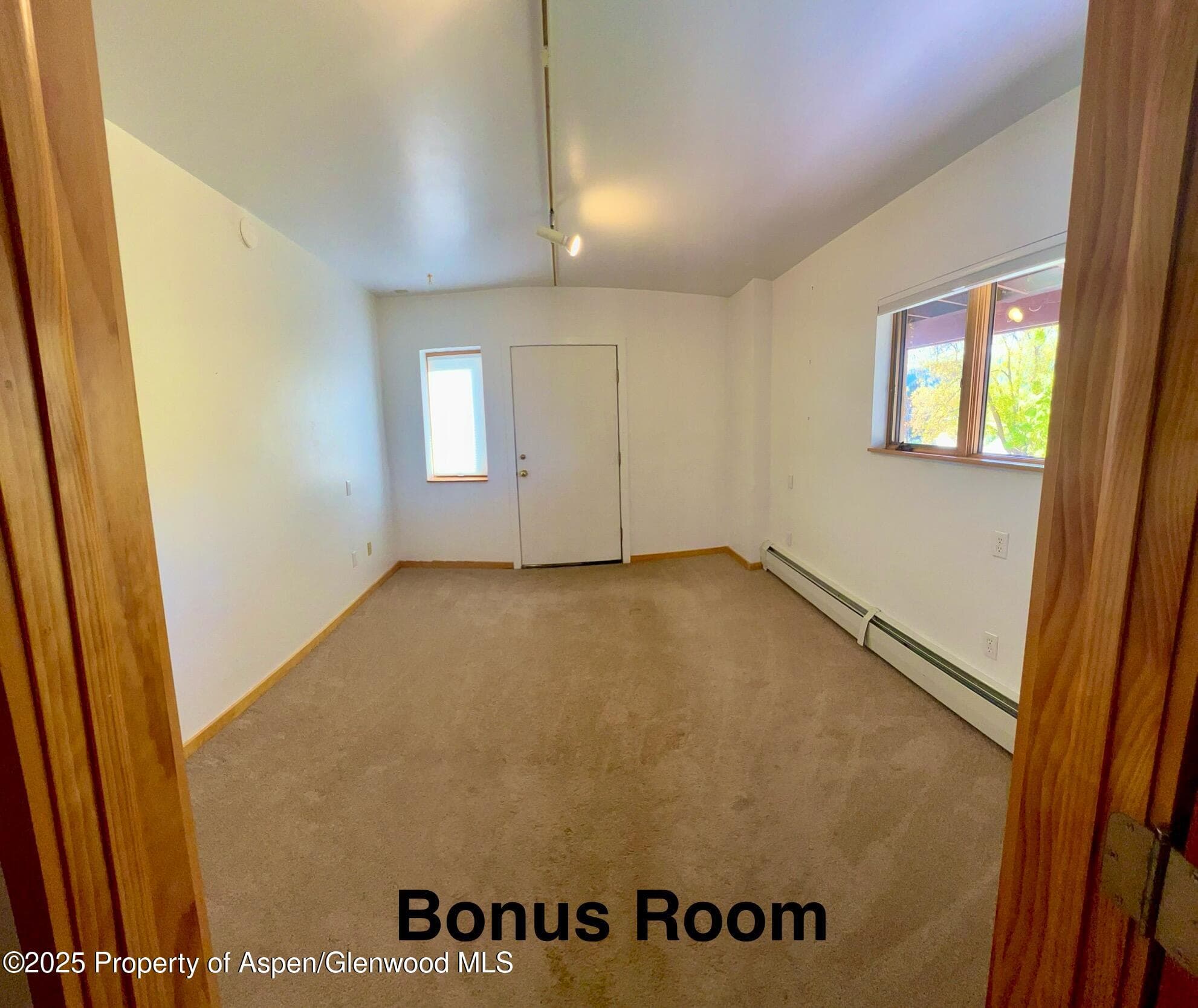 216 E Homestead Drive, Basalt, CO 81621 - Photo 14