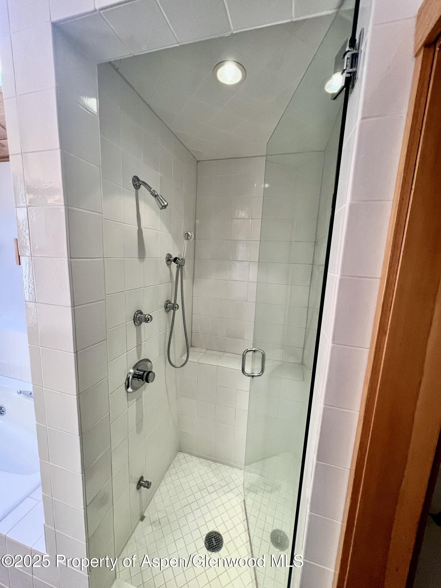 216 E Homestead Drive, Basalt, CO 81621 - Photo 7