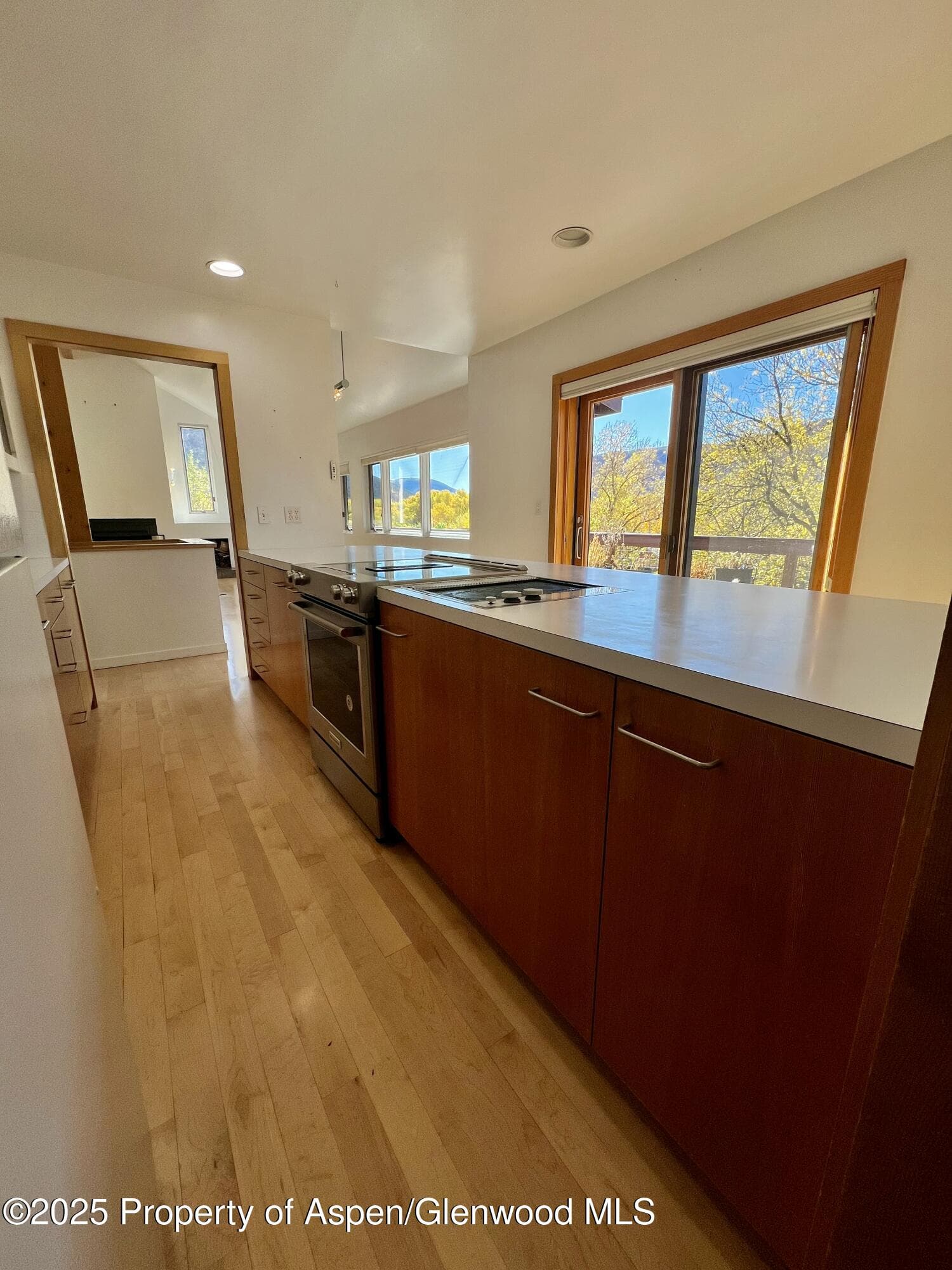 216 E Homestead Drive, Basalt, CO 81621 - Photo 5