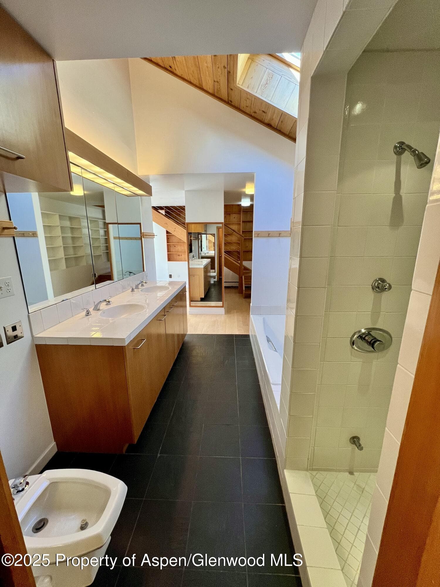 216 E Homestead Drive, Basalt, CO 81621 - Photo 8