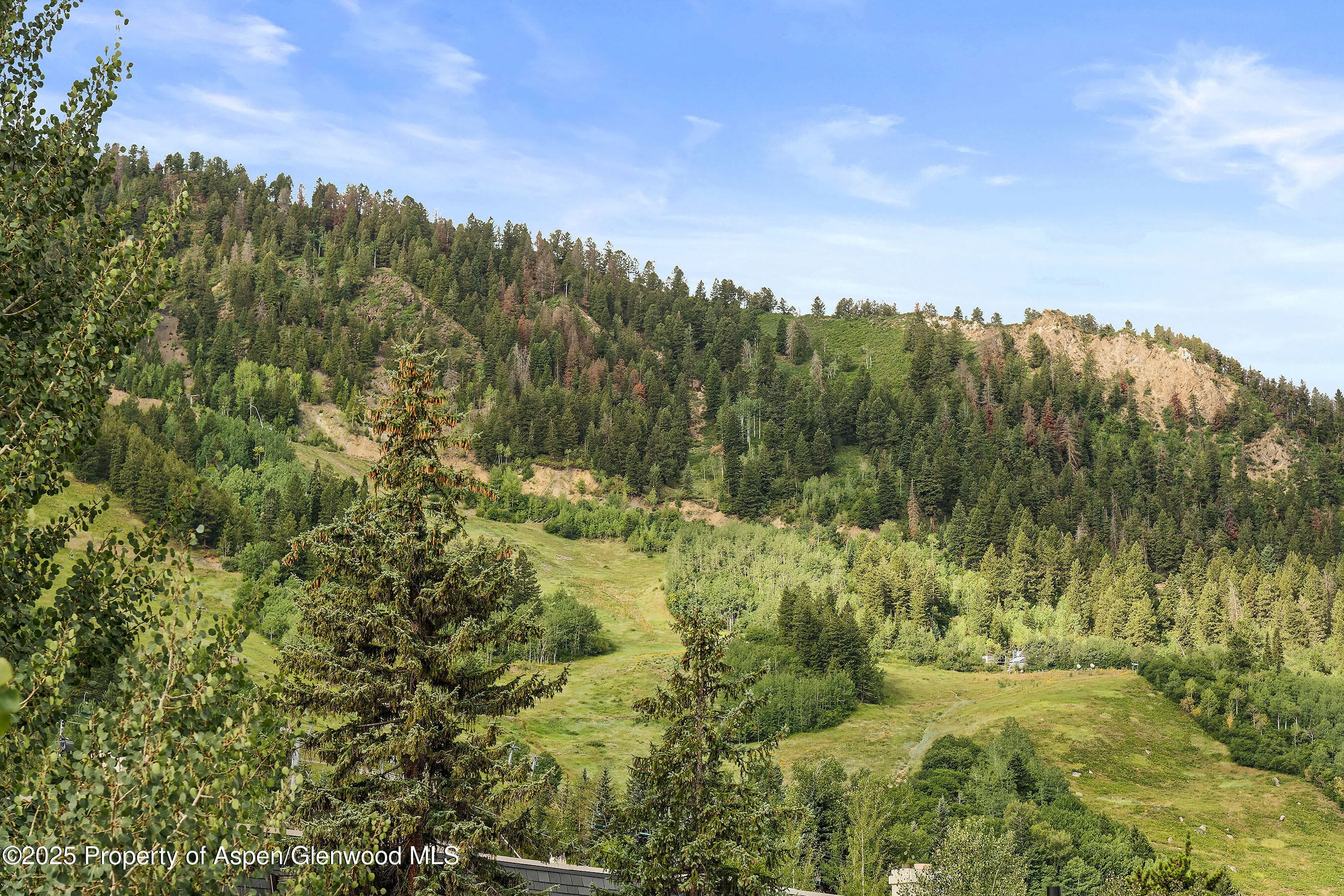 450 S Original Street 8, Aspen, CO 81611 - Photo 6