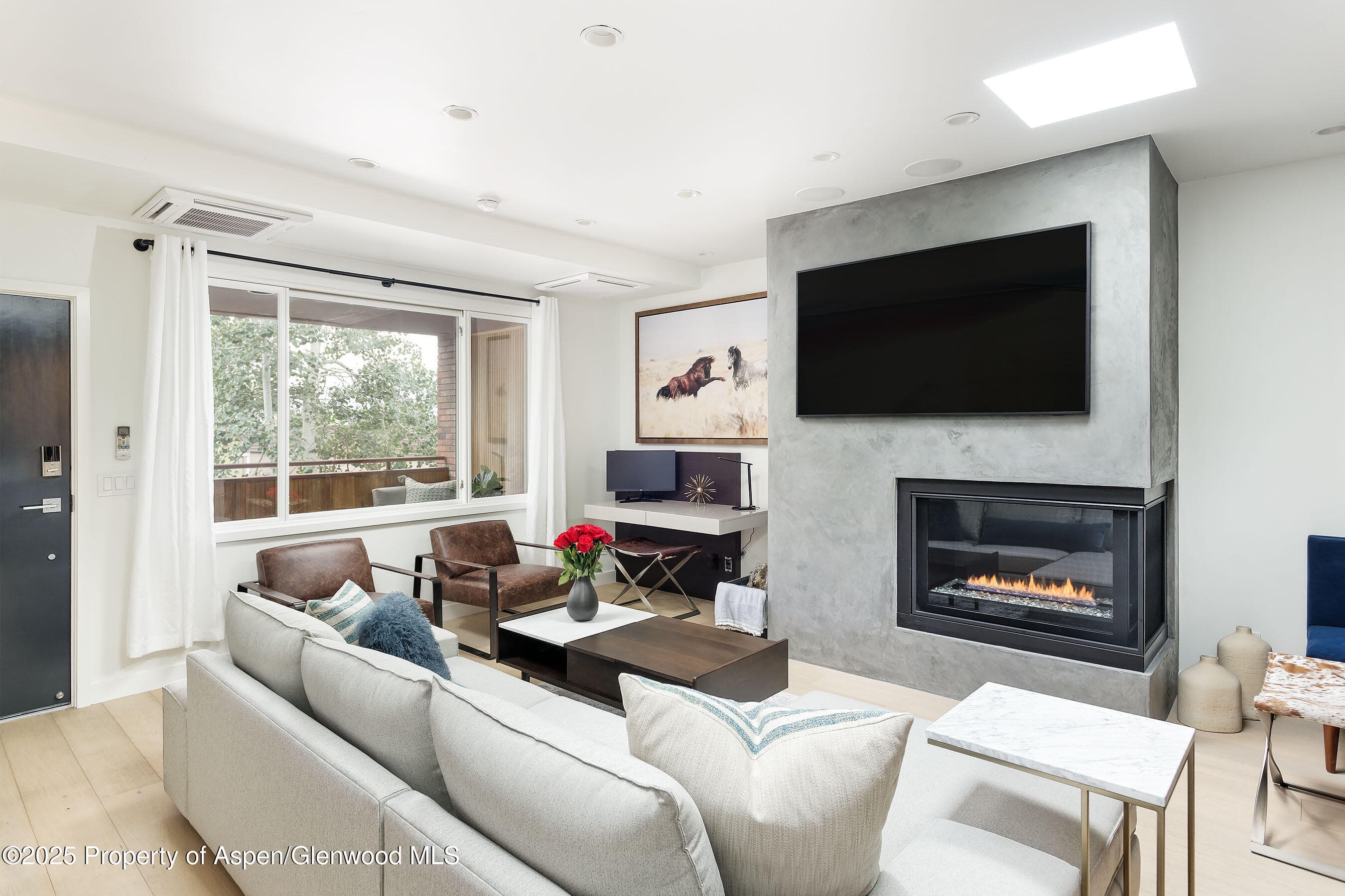 450 S Original Street 8, Aspen, CO 81611