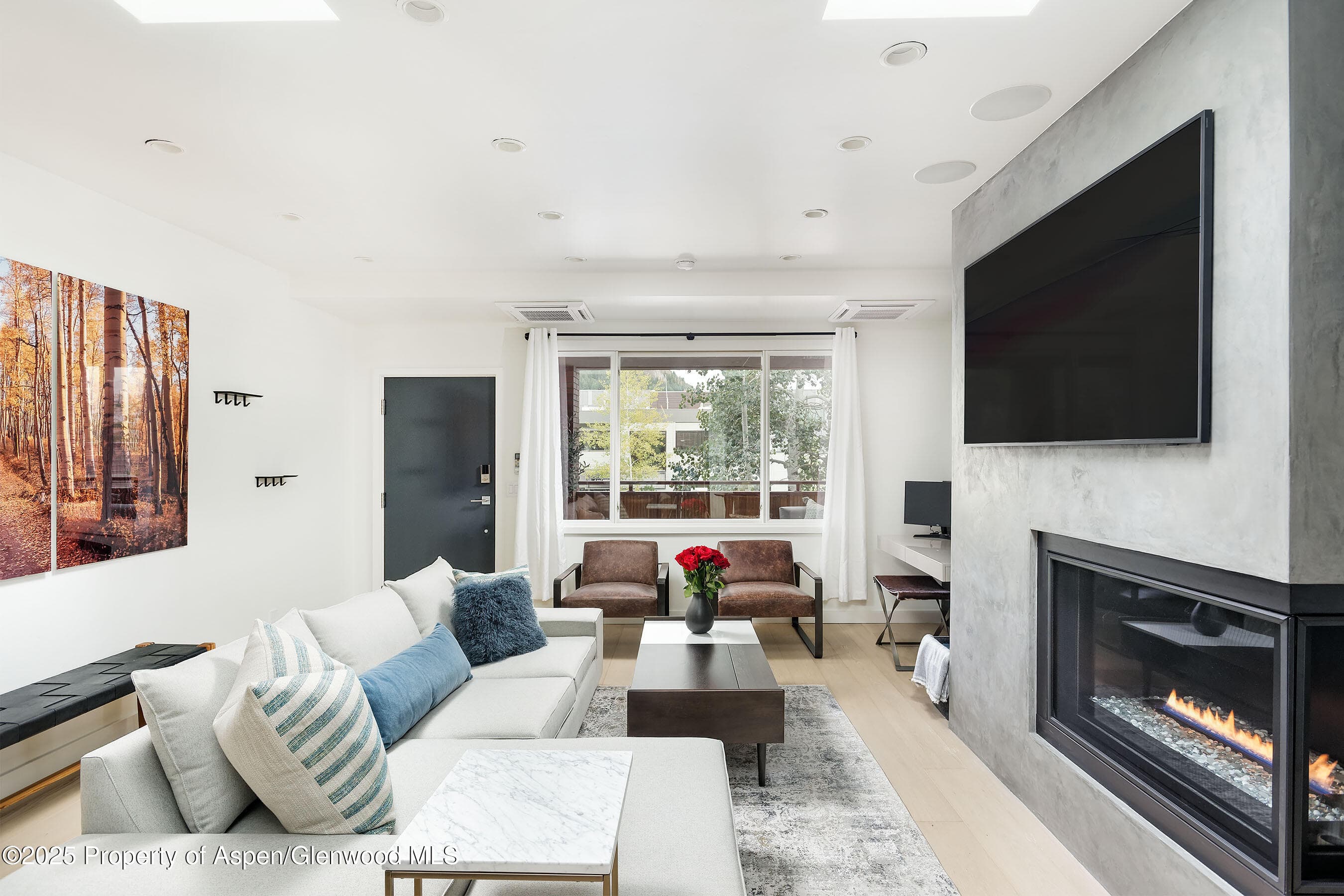 450 S Original Street 8, Aspen, CO 81611 - Photo 2