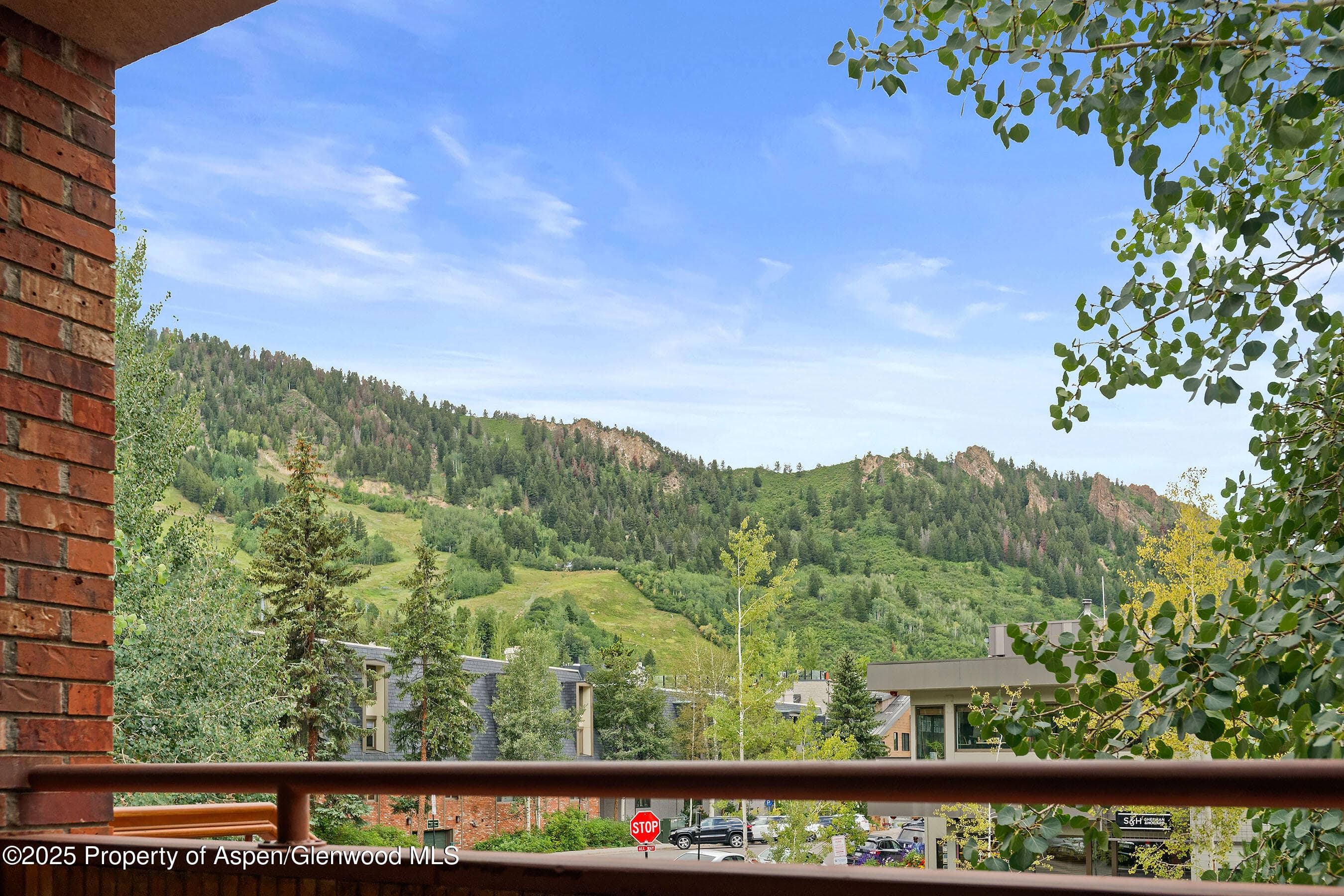 450 S Original Street 8, Aspen, CO 81611 - Photo 5