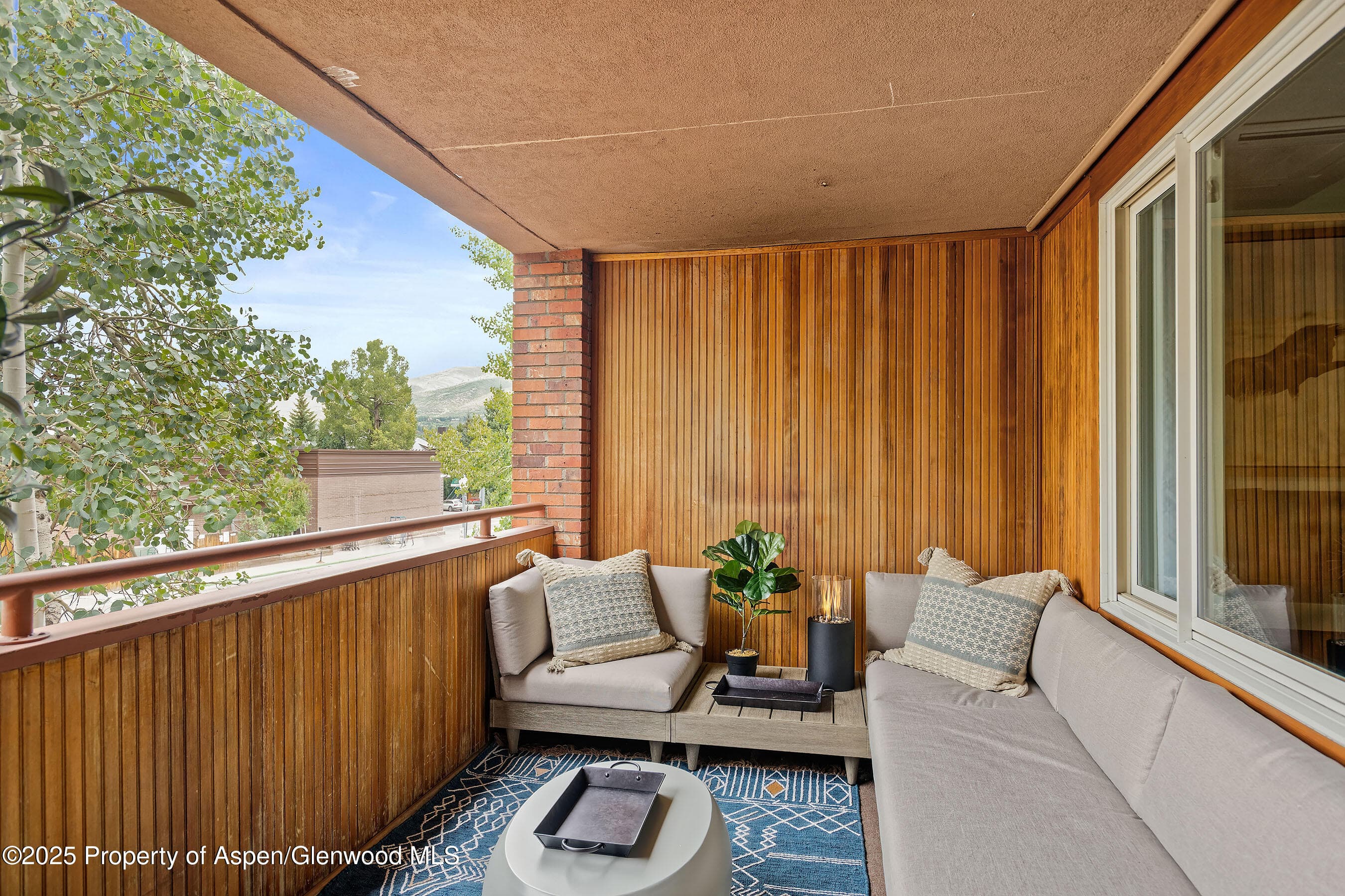 450 S Original Street 8, Aspen, CO 81611 - Photo 7